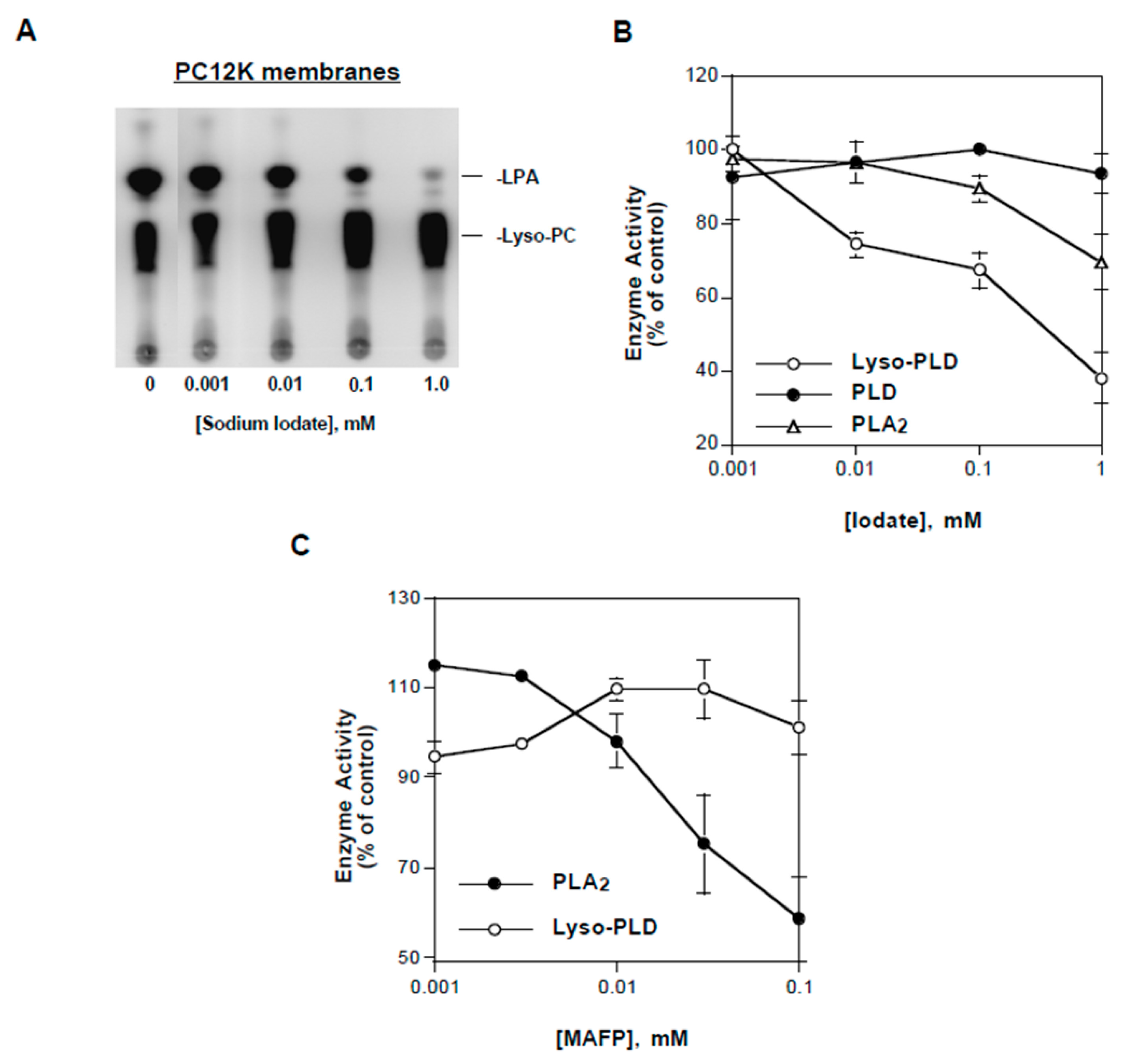 Cells 13 00520 g006 Cells 13 00520 g006