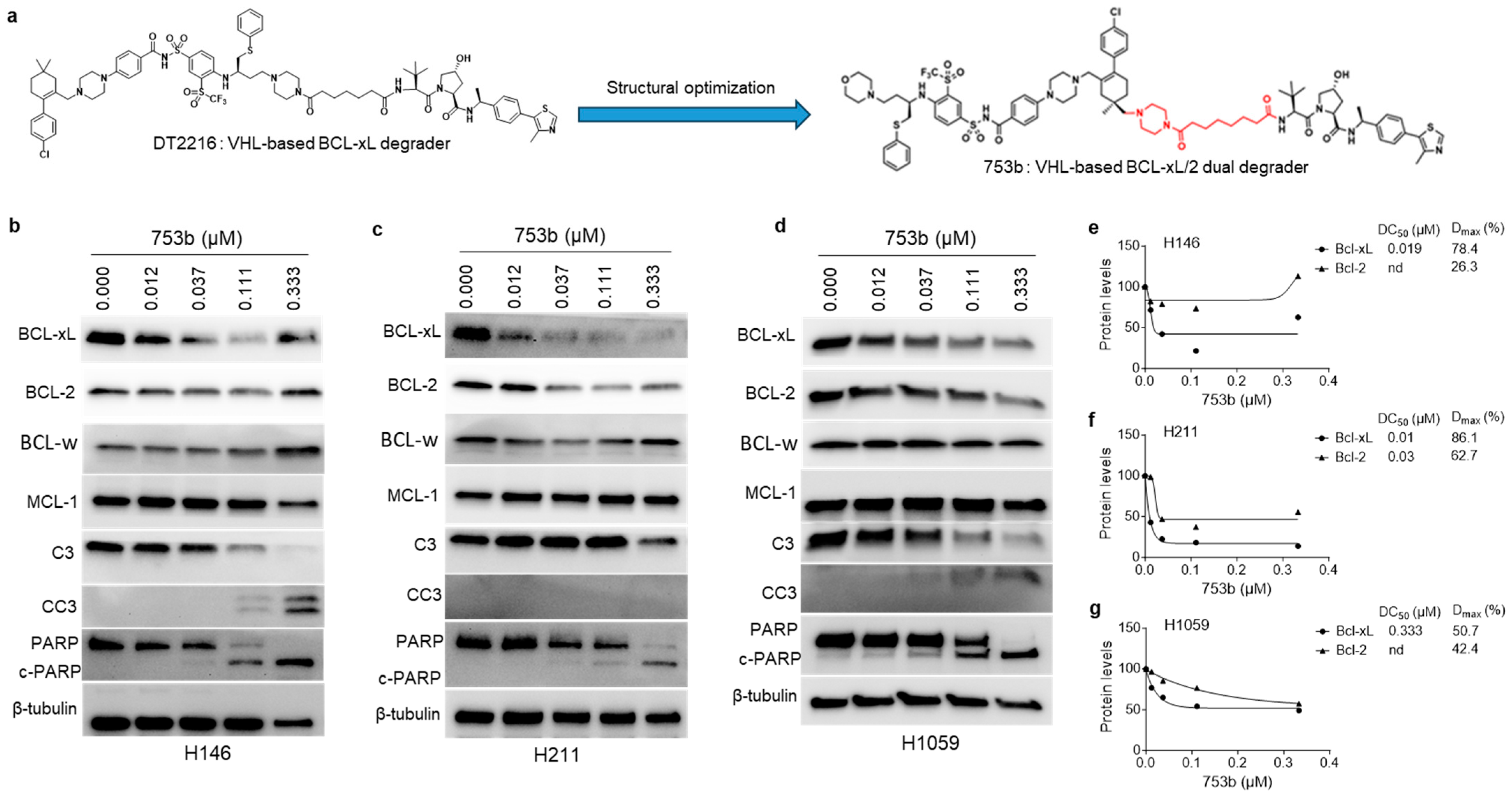 Cells 13 00528 g001 Cells 13 00528 g001