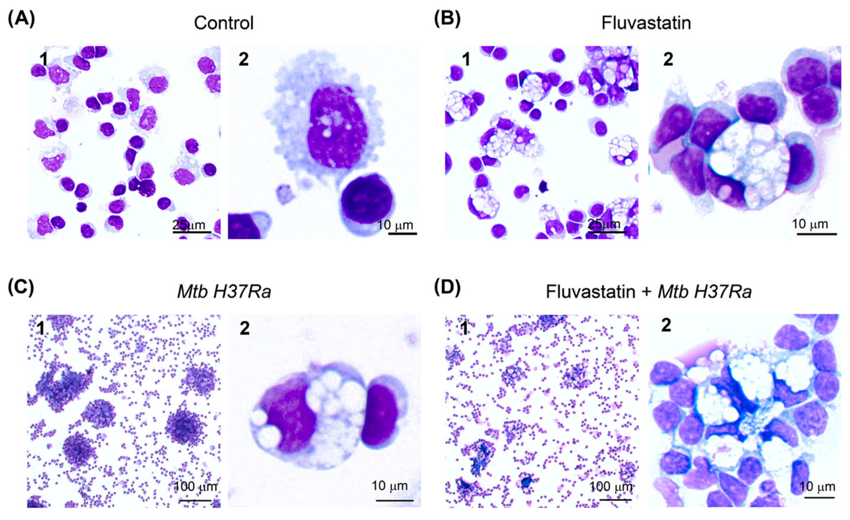 Cells 13 00536 g001 Cells 13 00536 g001