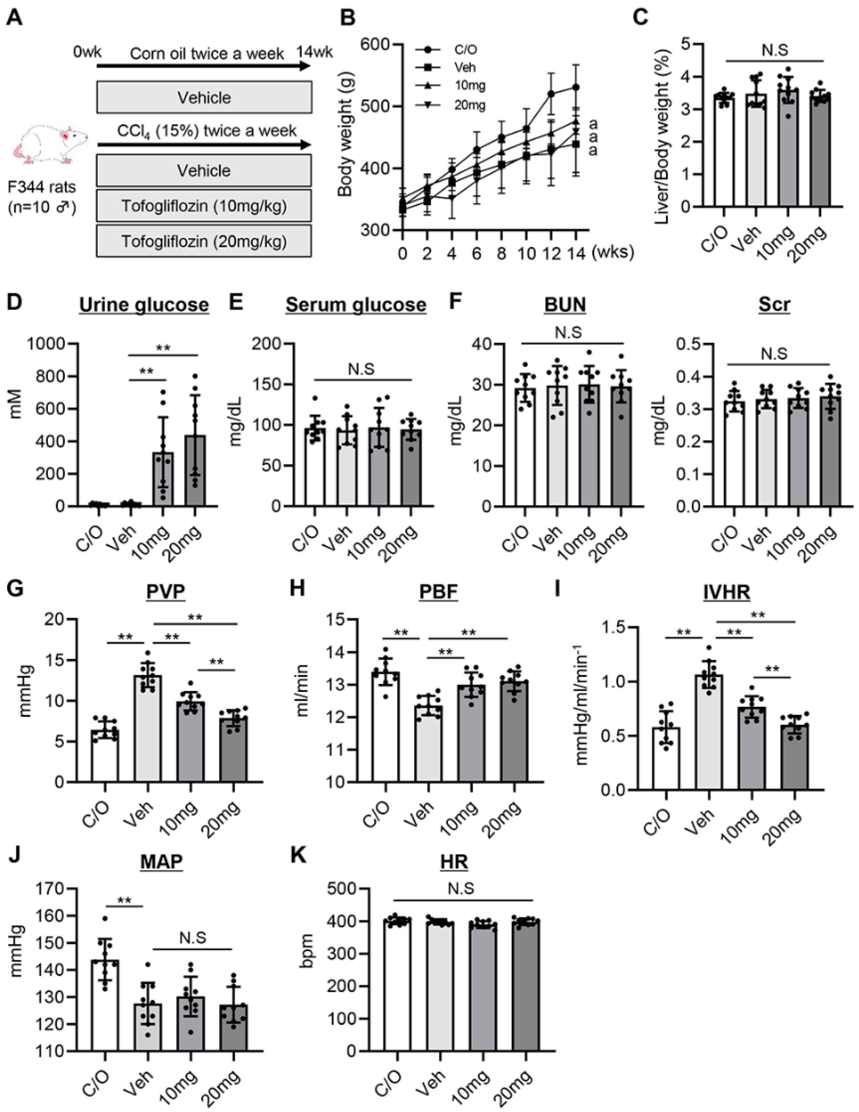 Cells 13 00538 g001 Cells 13 00538 g001