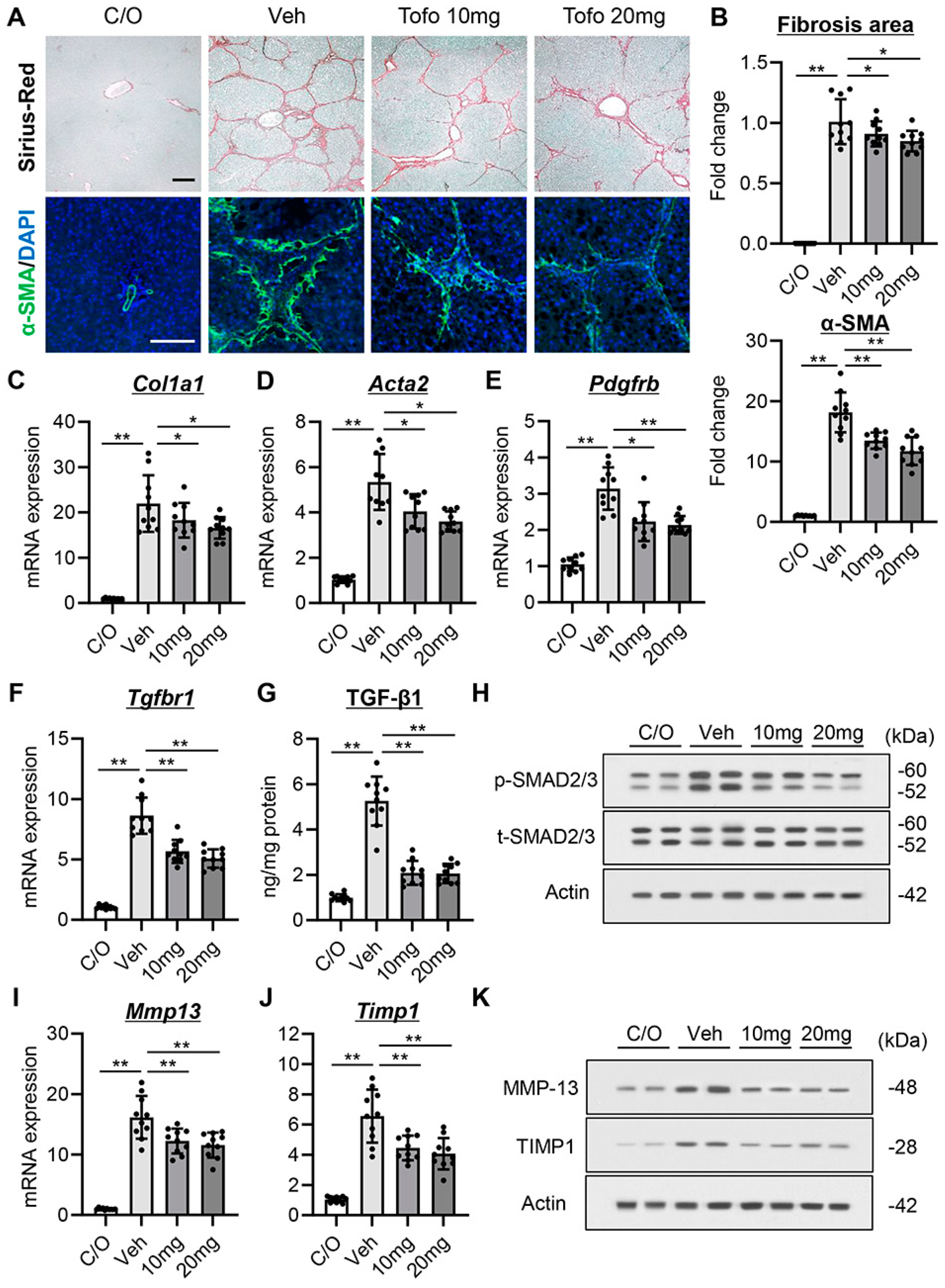 Cells 13 00538 g004 Cells 13 00538 g004