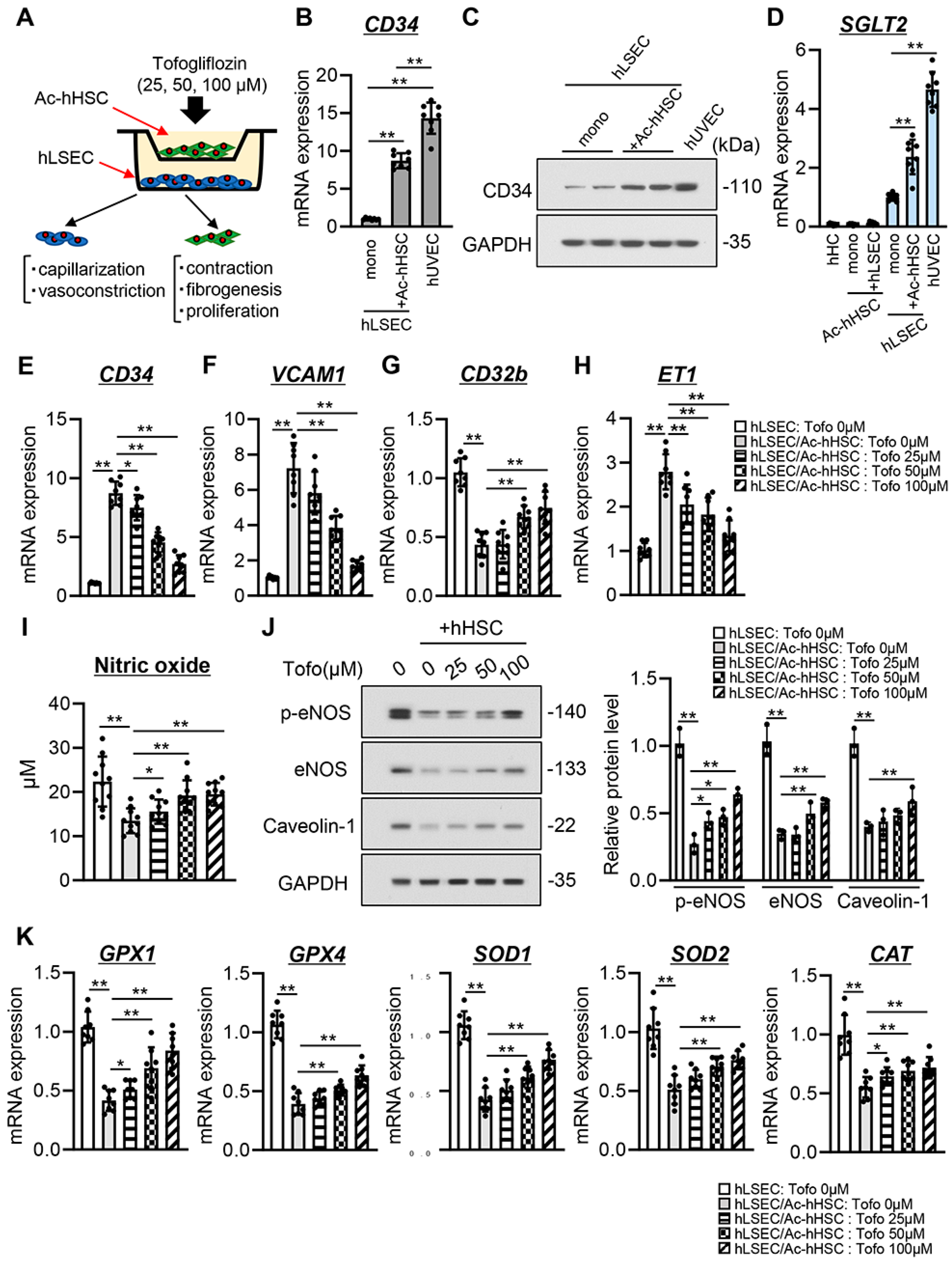 Cells 13 00538 g005 Cells 13 00538 g005