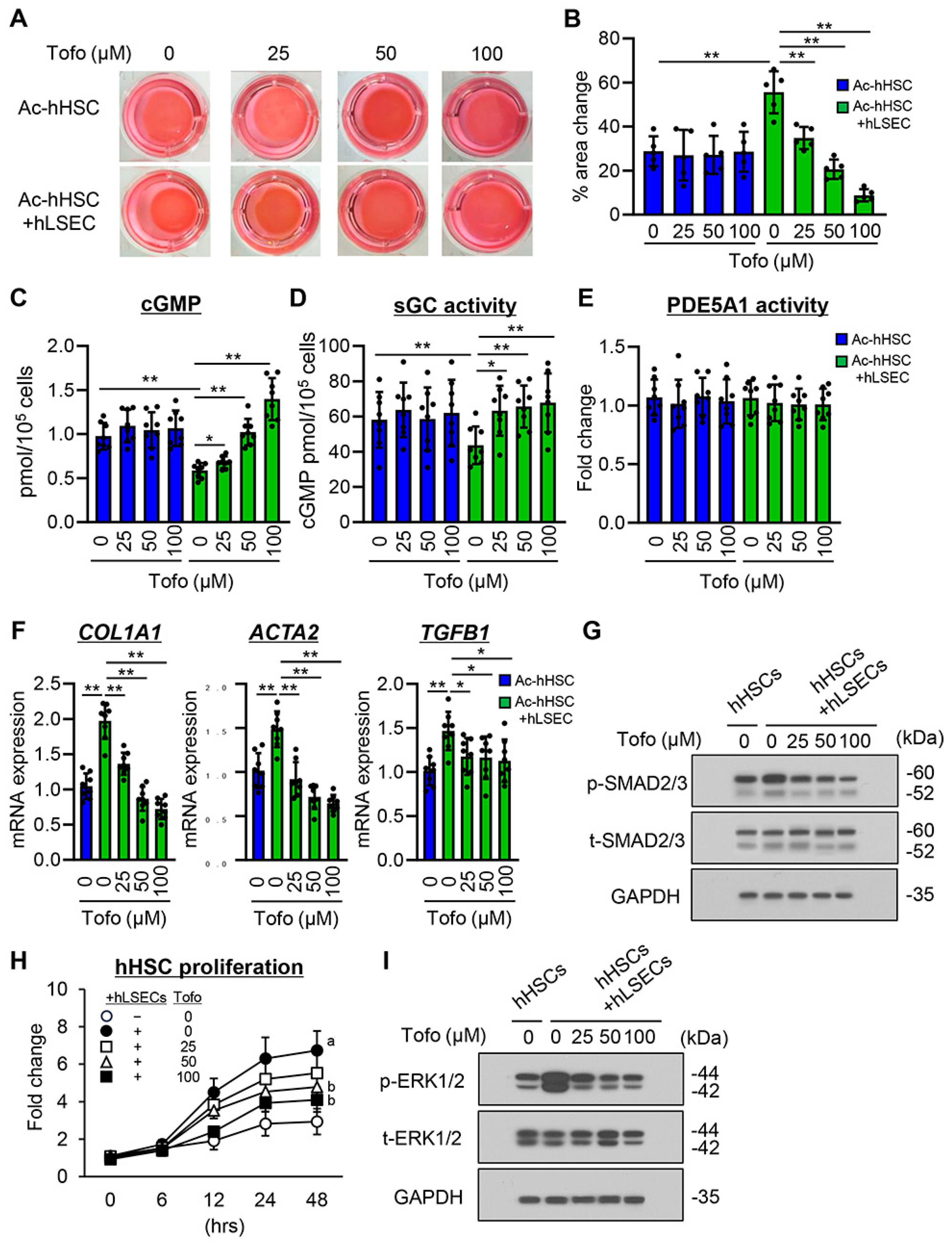 Cells 13 00538 g006 Cells 13 00538 g006