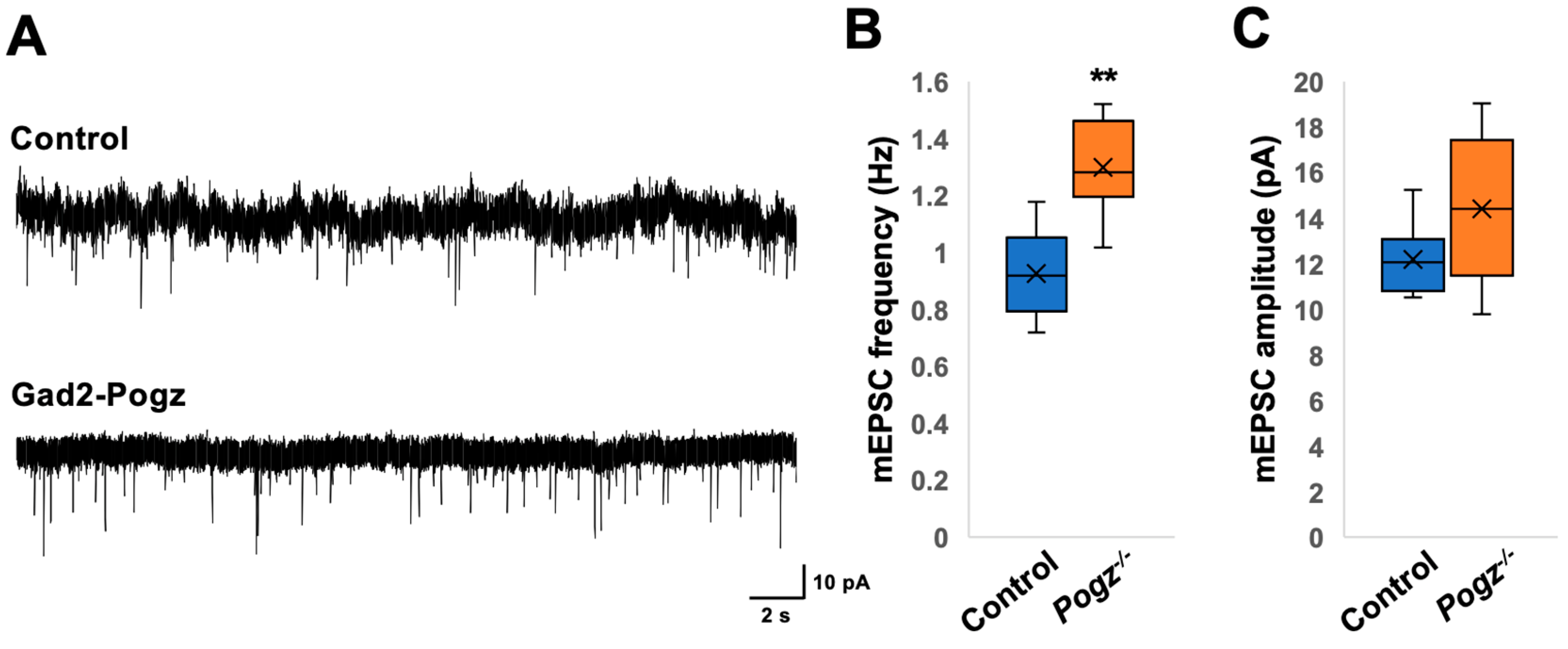 Cells 13 00540 g006a
