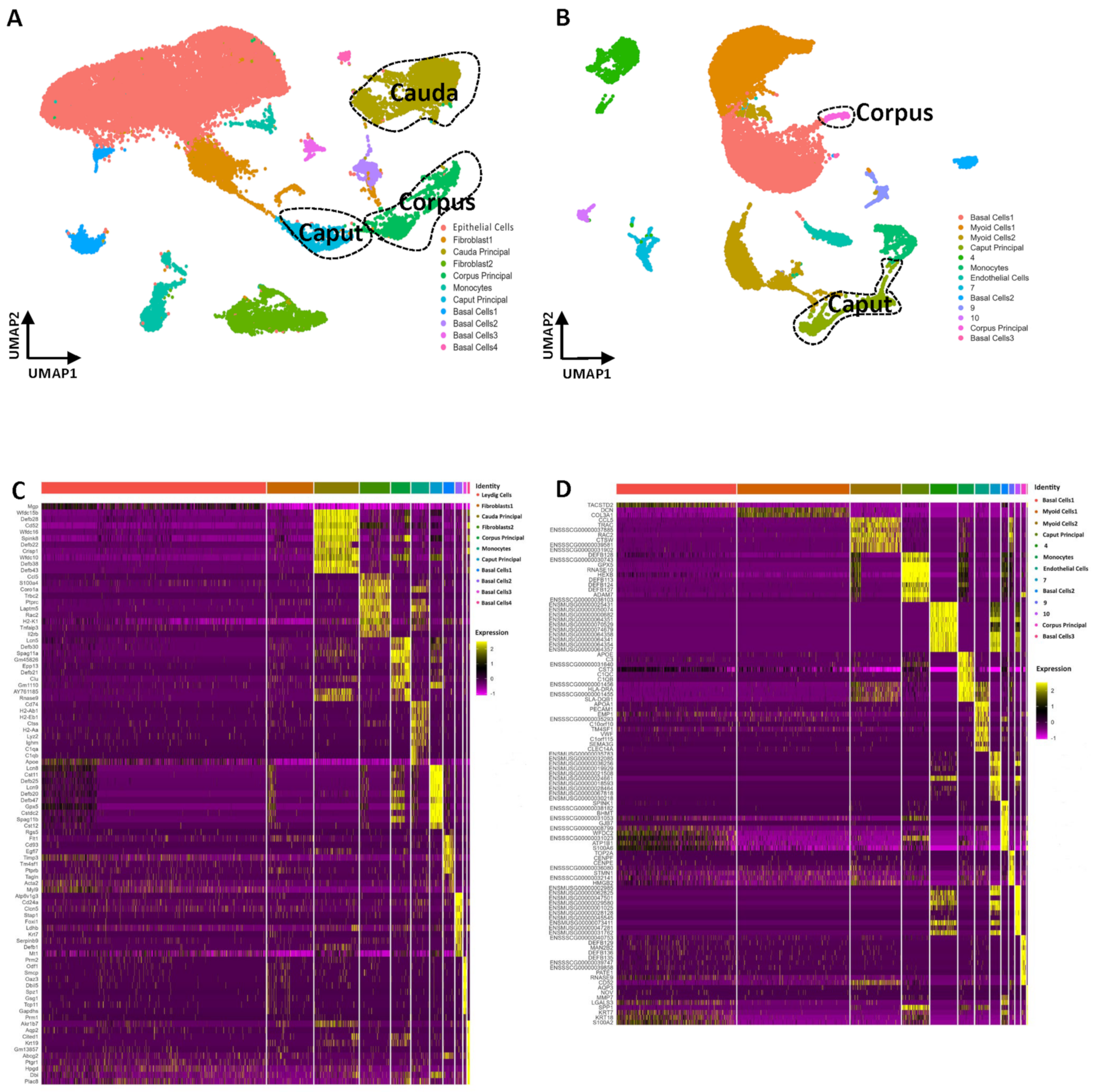 Cells 13 00563 g006 Cells 13 00563 g006