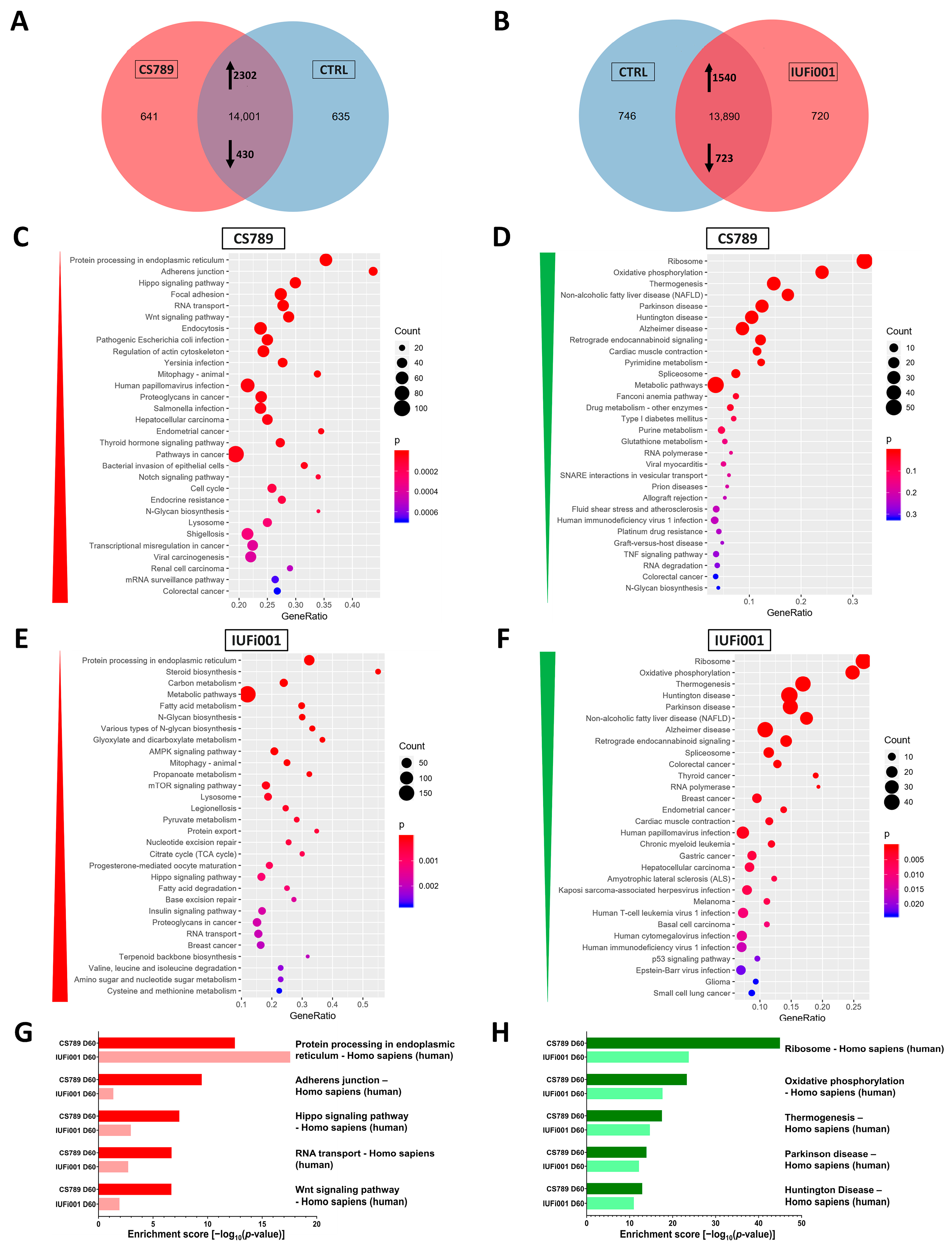 Cells 13 00591 g003 Cells 13 00591 g003