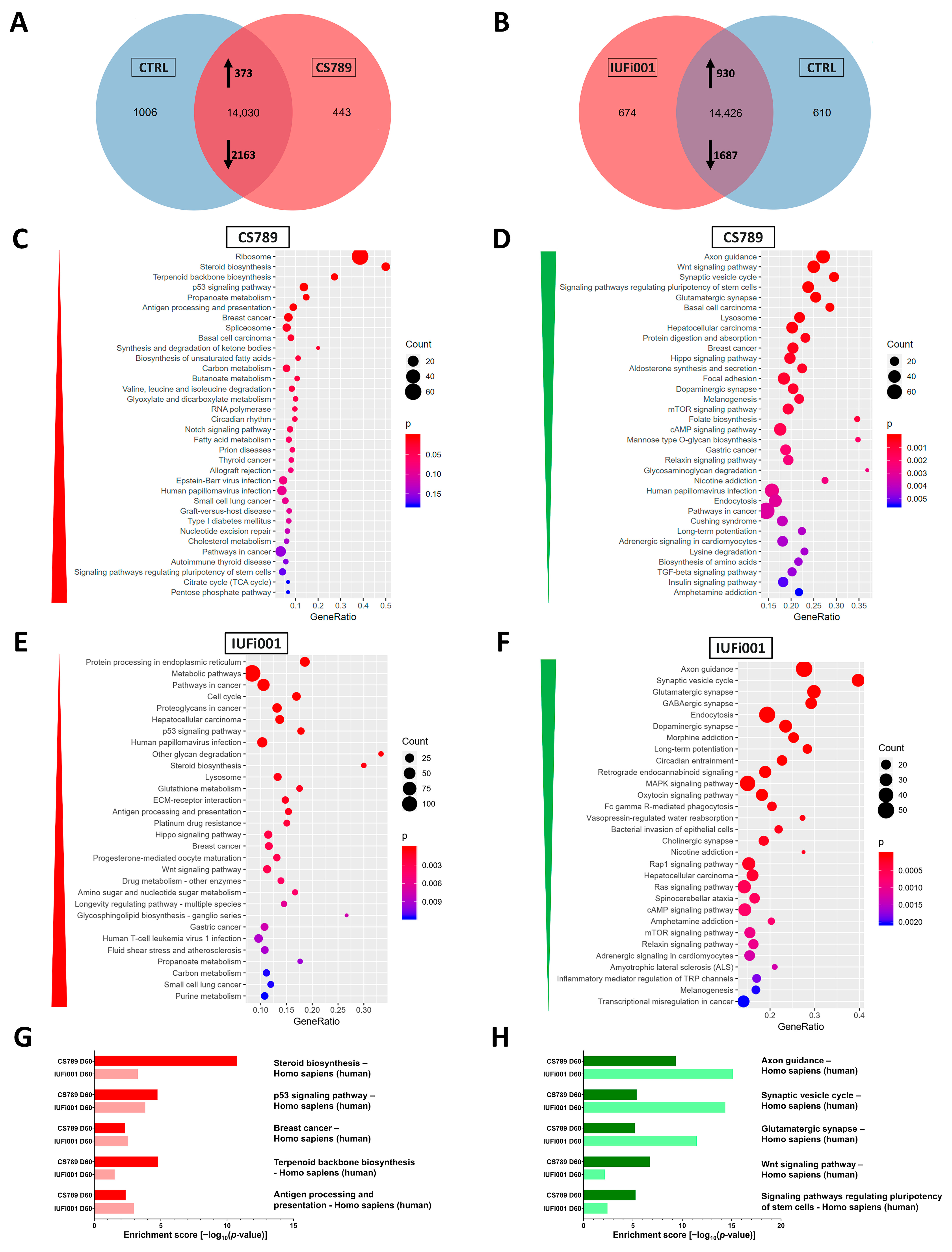 Cells 13 00591 g004 Cells 13 00591 g004