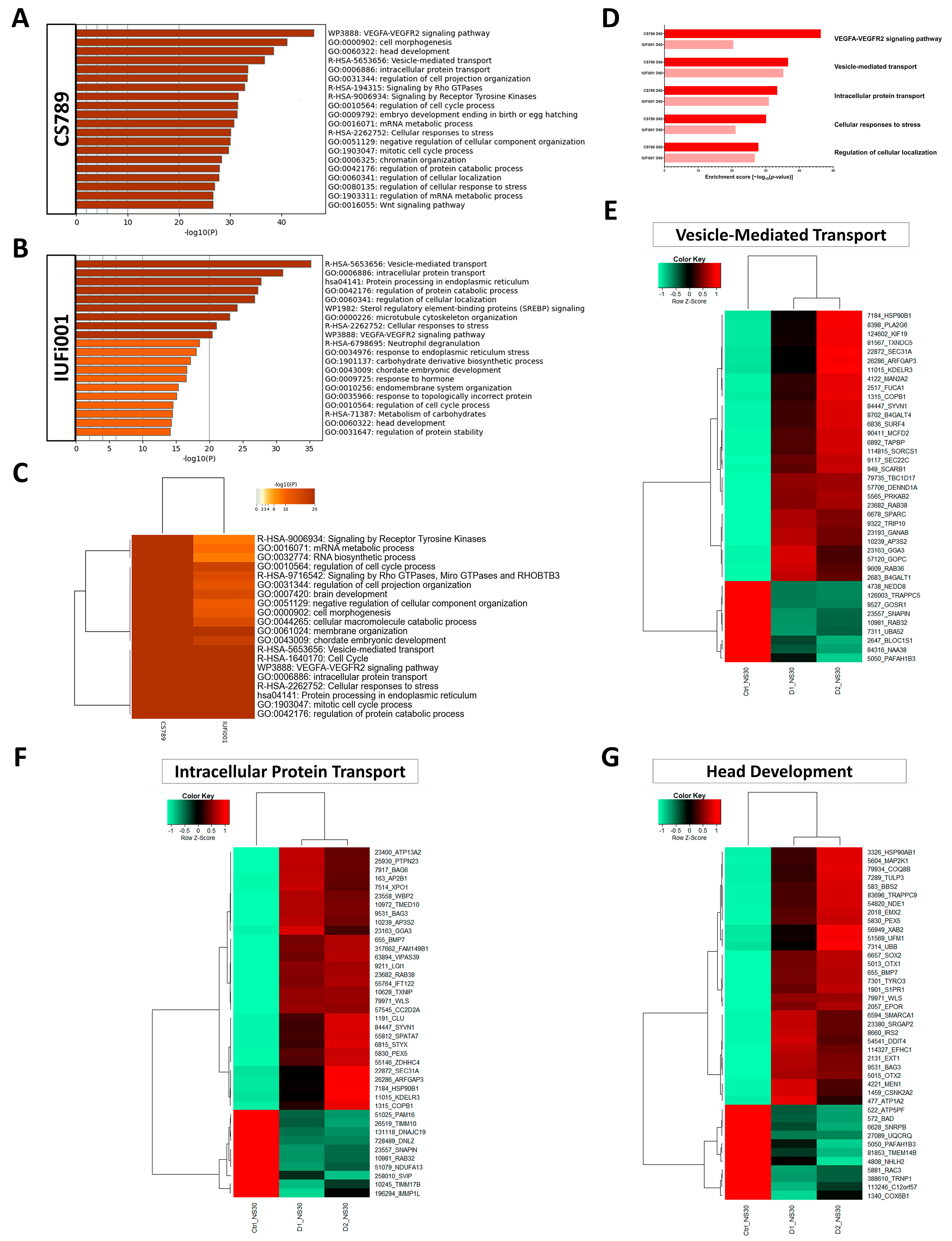 Cells 13 00591 g005 Cells 13 00591 g005
