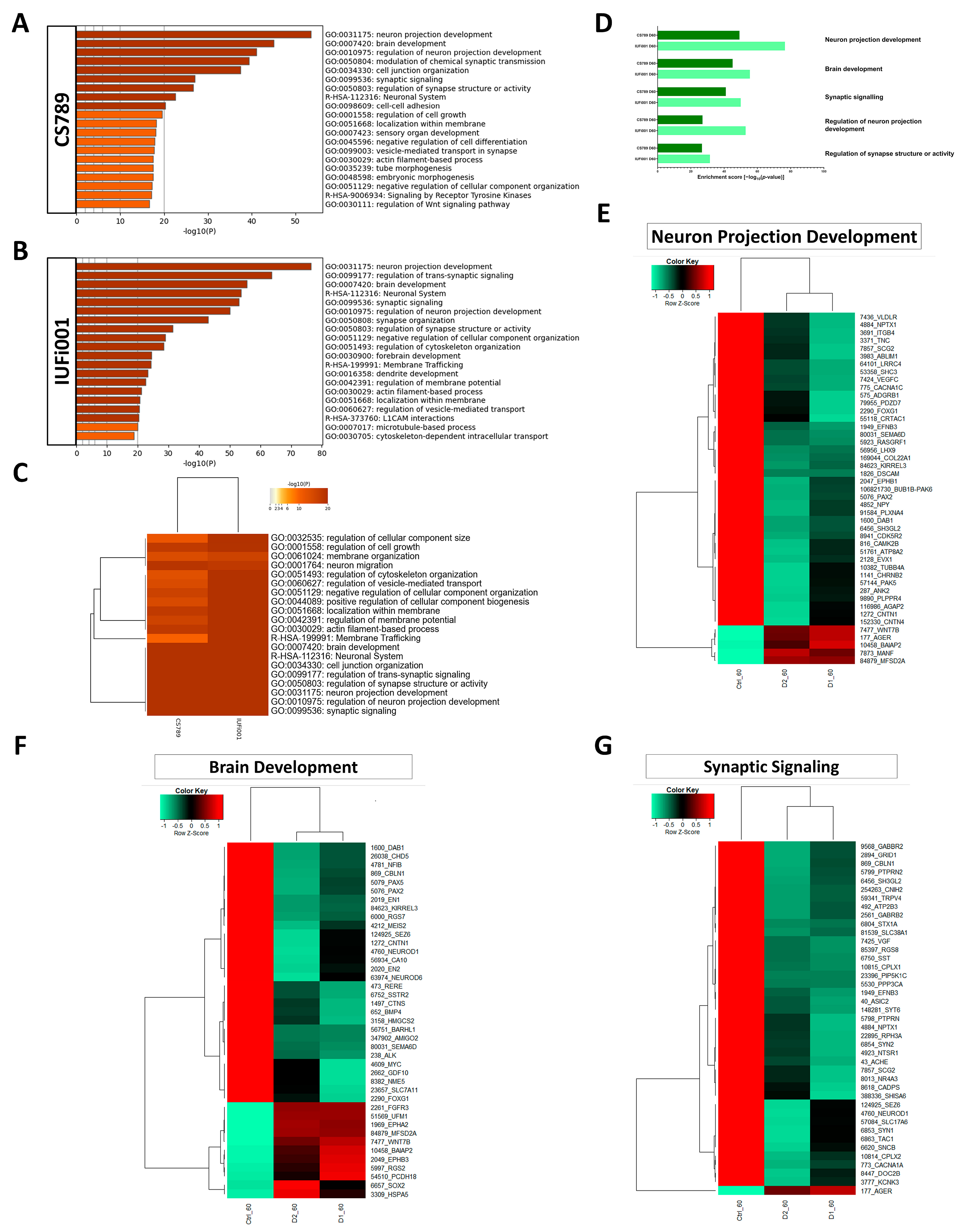 Cells 13 00591 g006 Cells 13 00591 g006