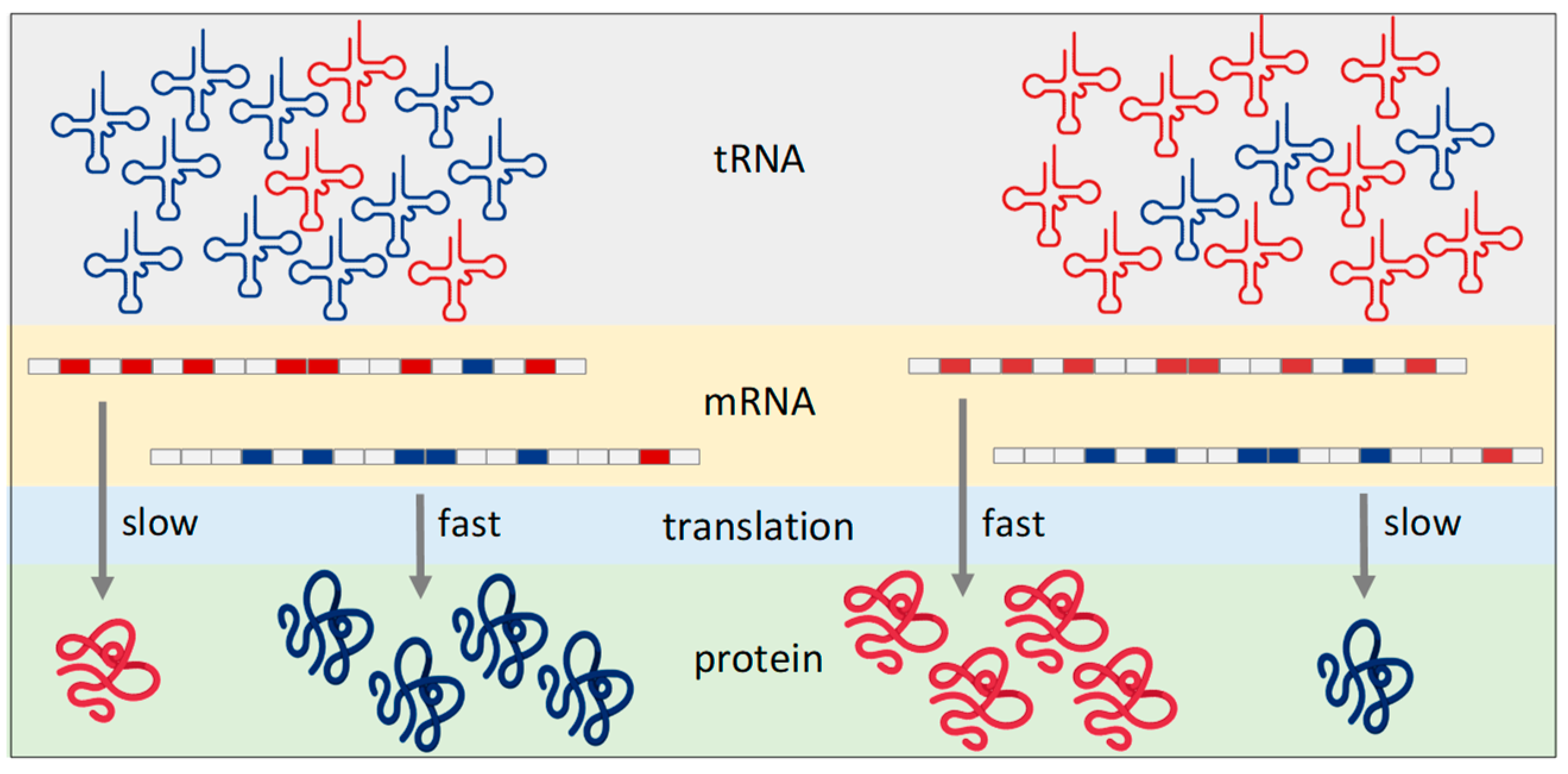 Cells 13 00599 g001 Cells 13 00599 g001