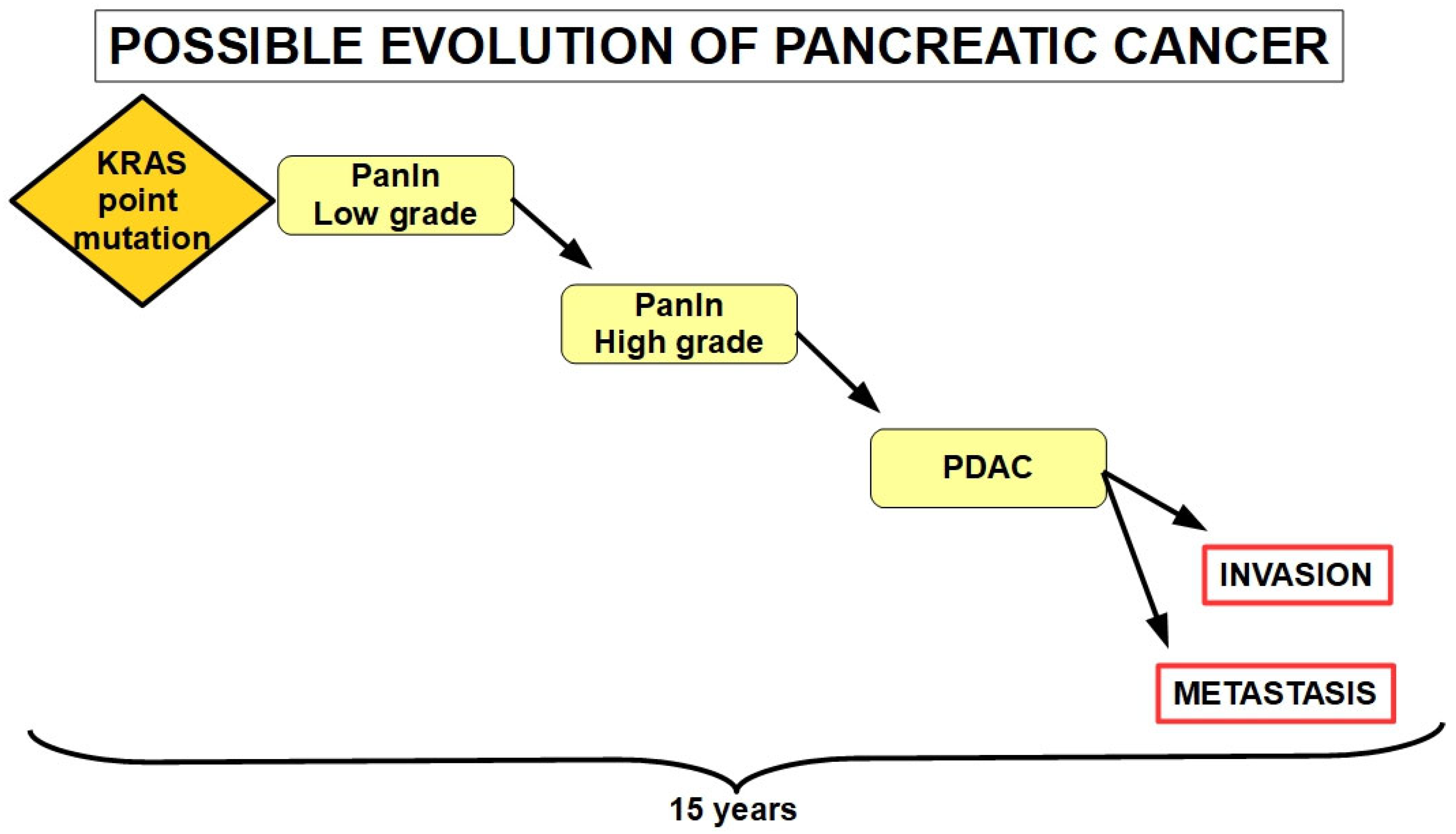 Cells 13 00602 g001 Cells 13 00602 g001