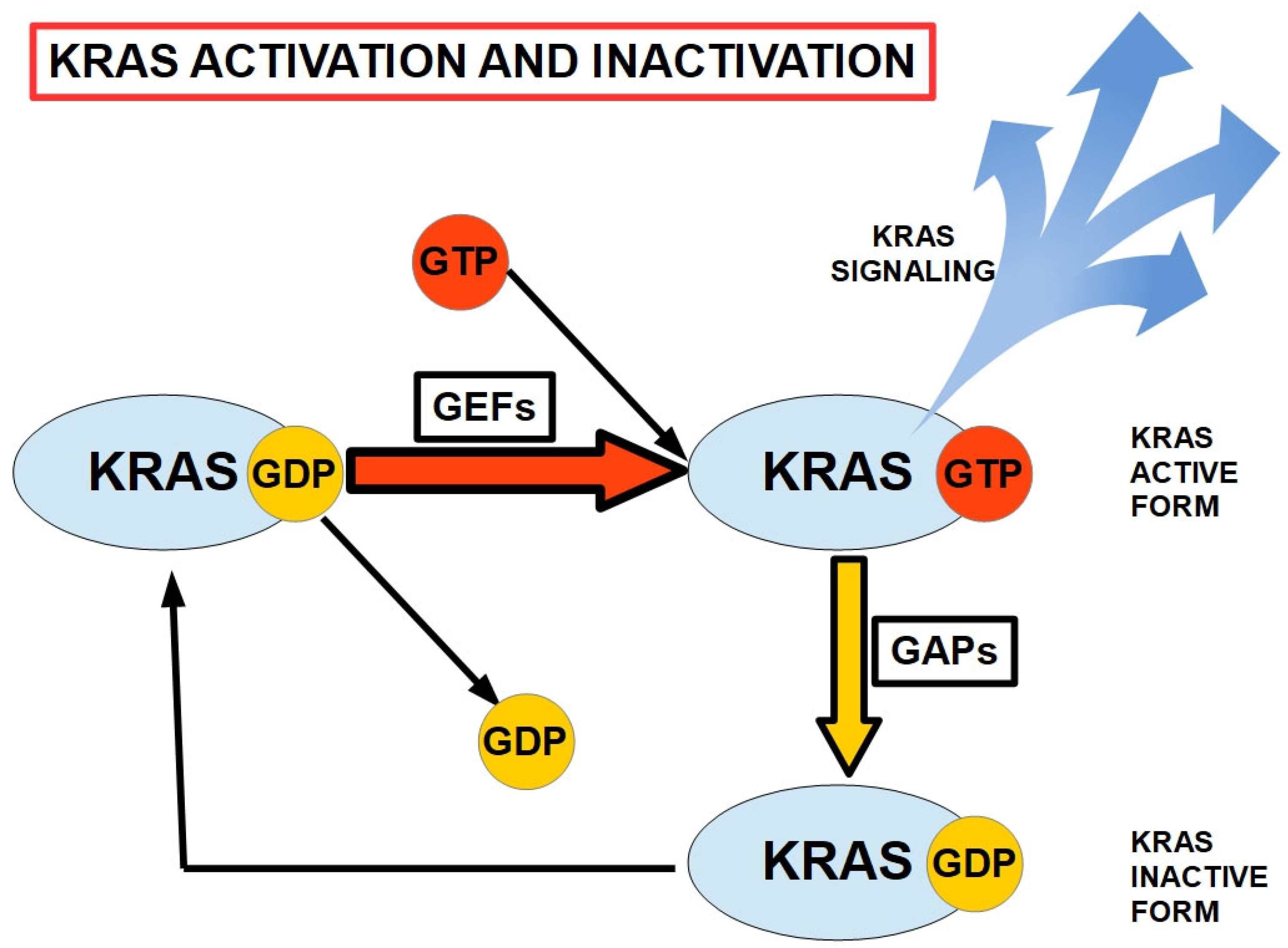 Cells 13 00602 g002 Cells 13 00602 g002