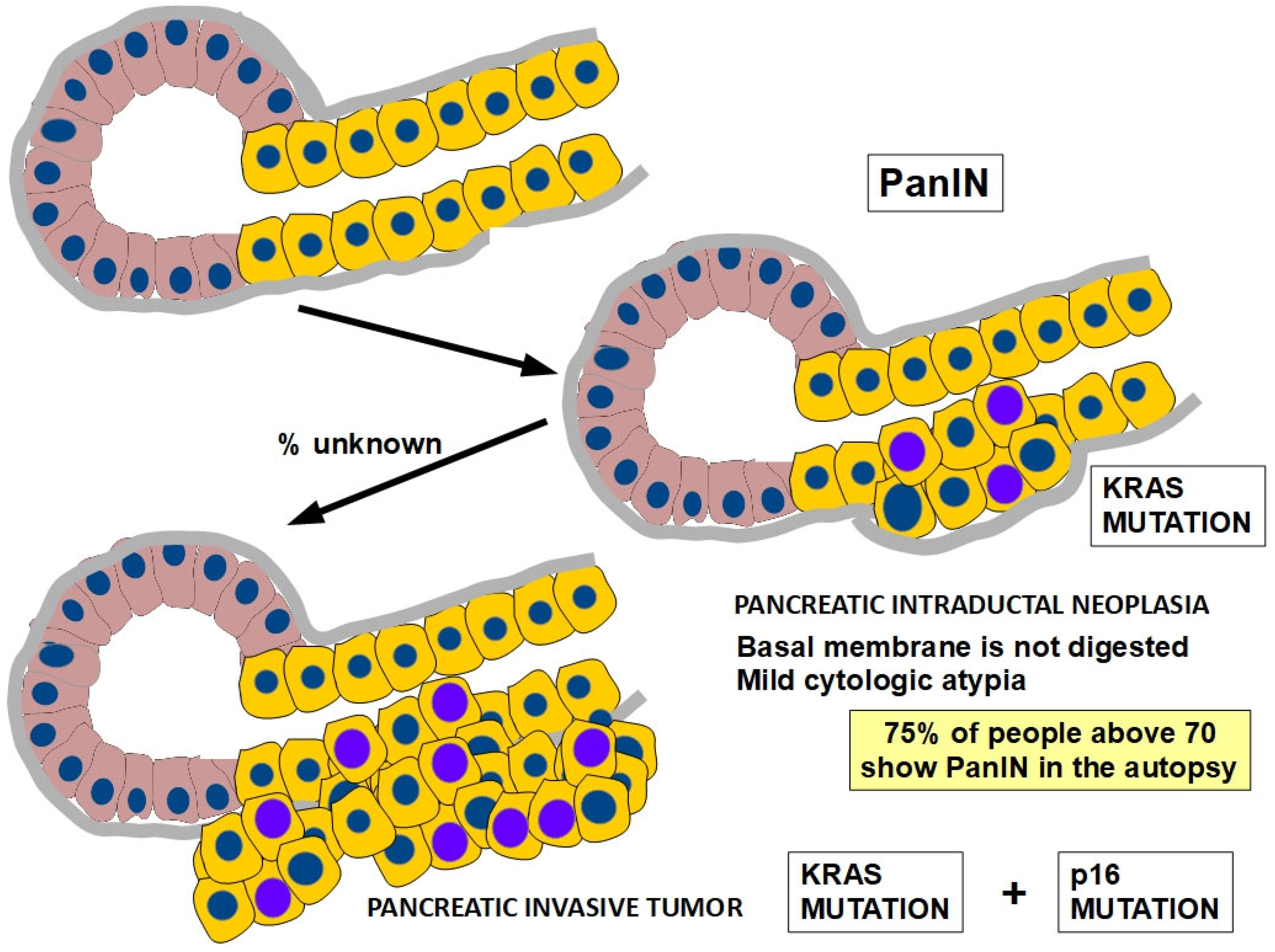 Cells 13 00602 g009 Cells 13 00602 g009