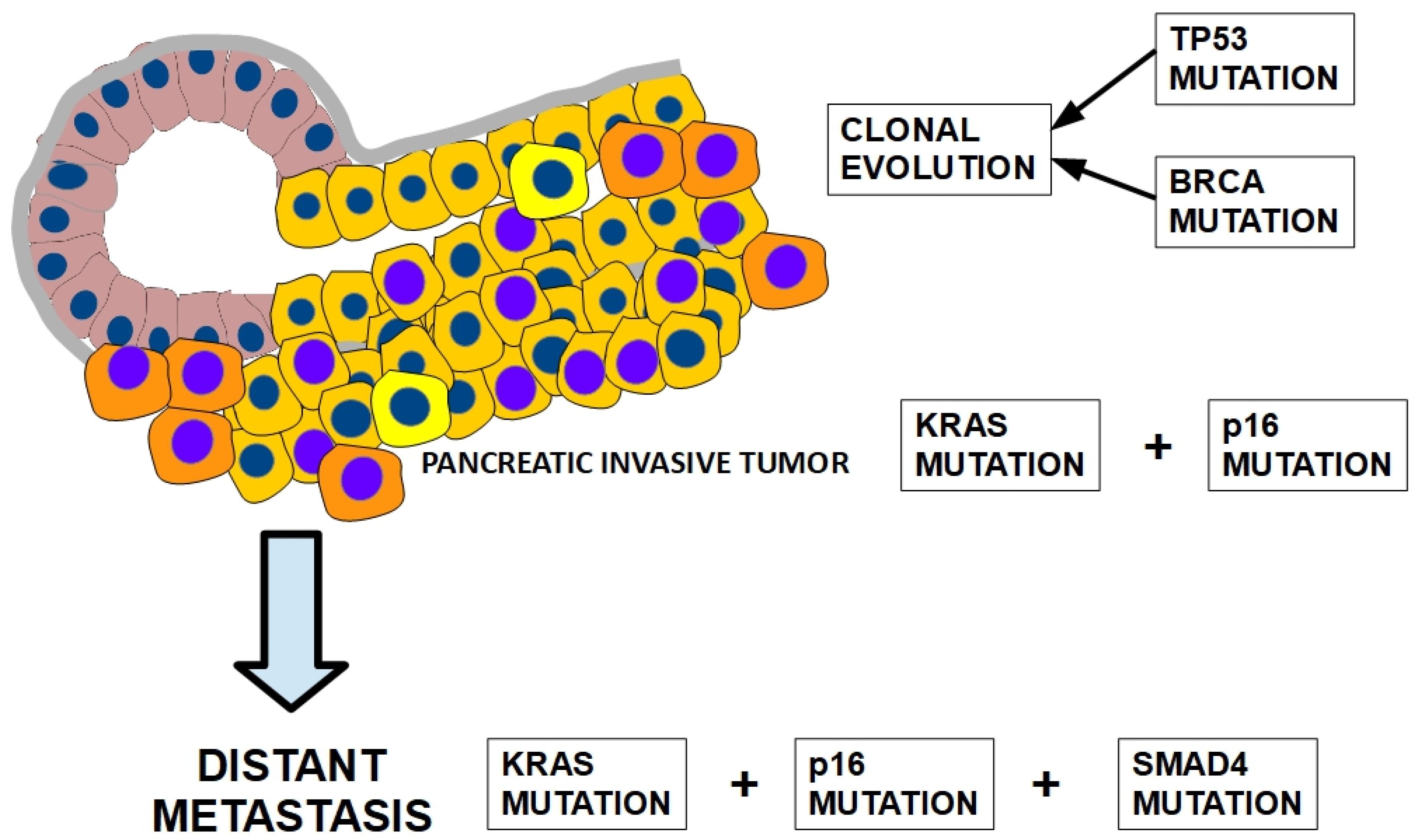 Cells 13 00602 g010 Cells 13 00602 g010