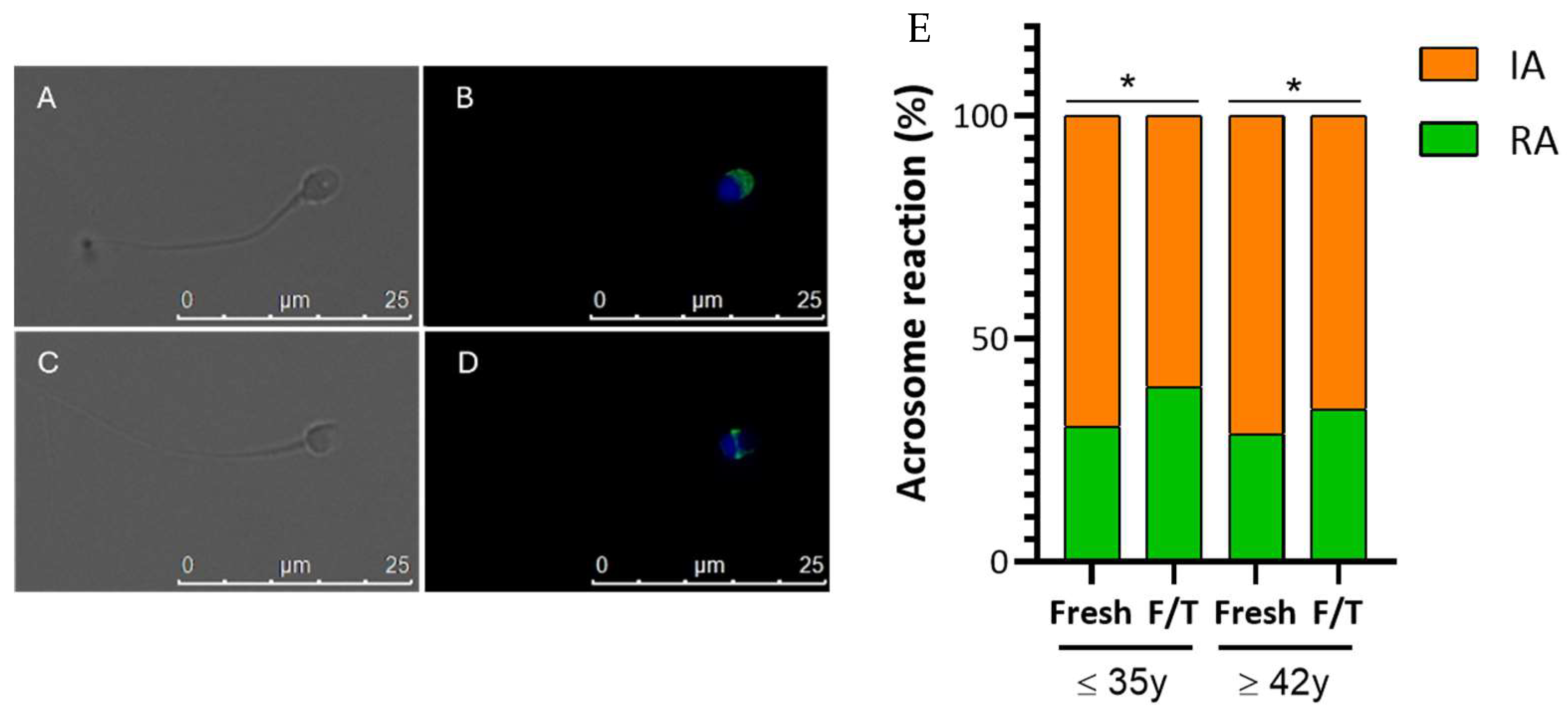 Cells 13 00625 g005 Cells 13 00625 g005