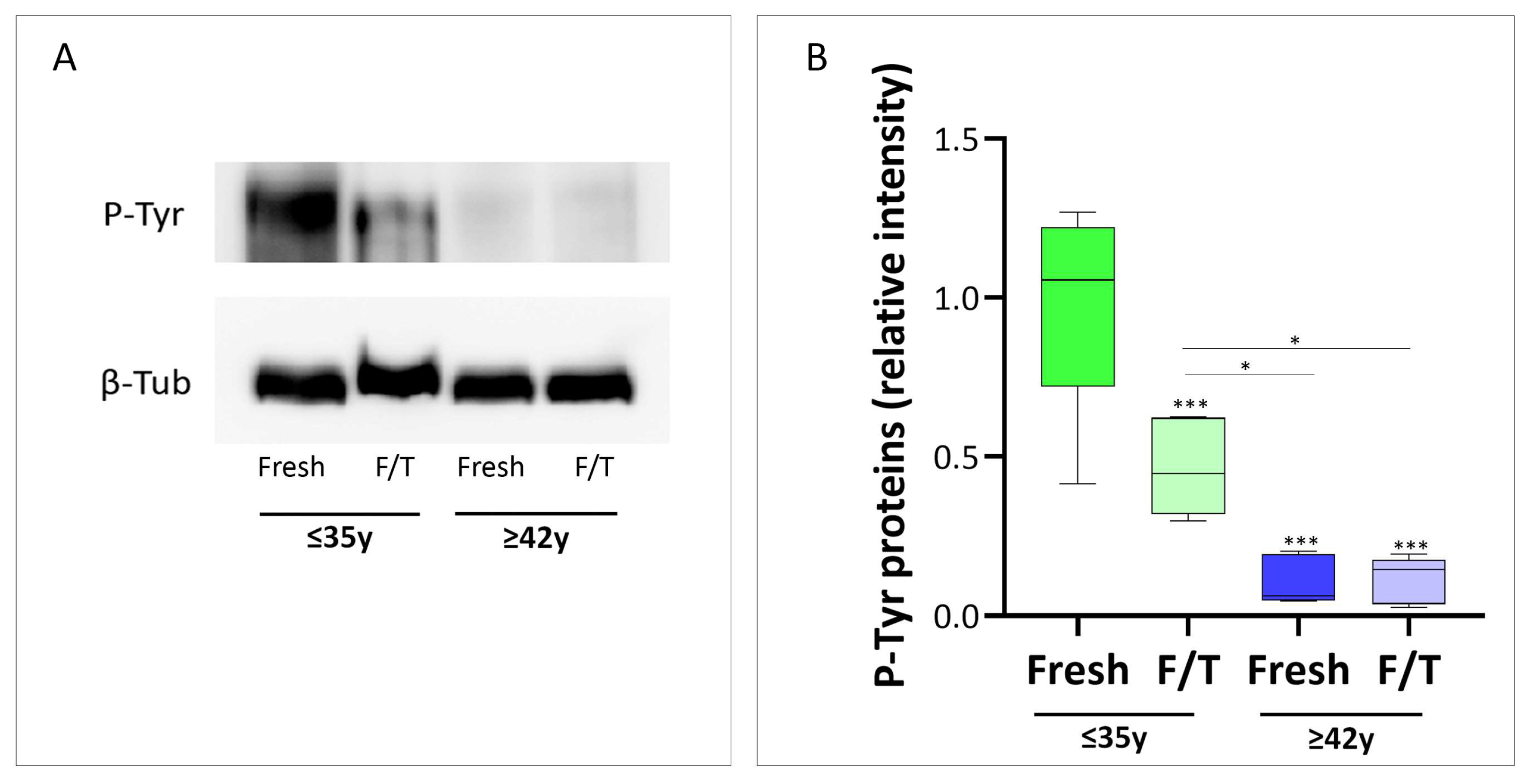 Cells 13 00625 g006 Cells 13 00625 g006