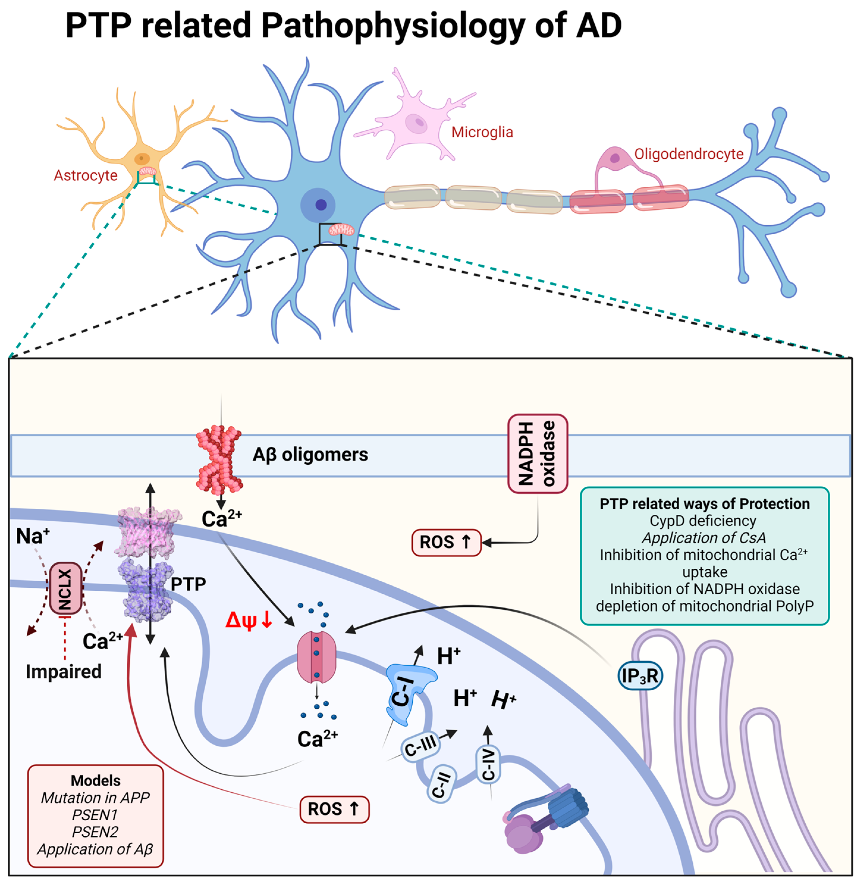 Cells 13 00648 g002 Cells 13 00648 g002