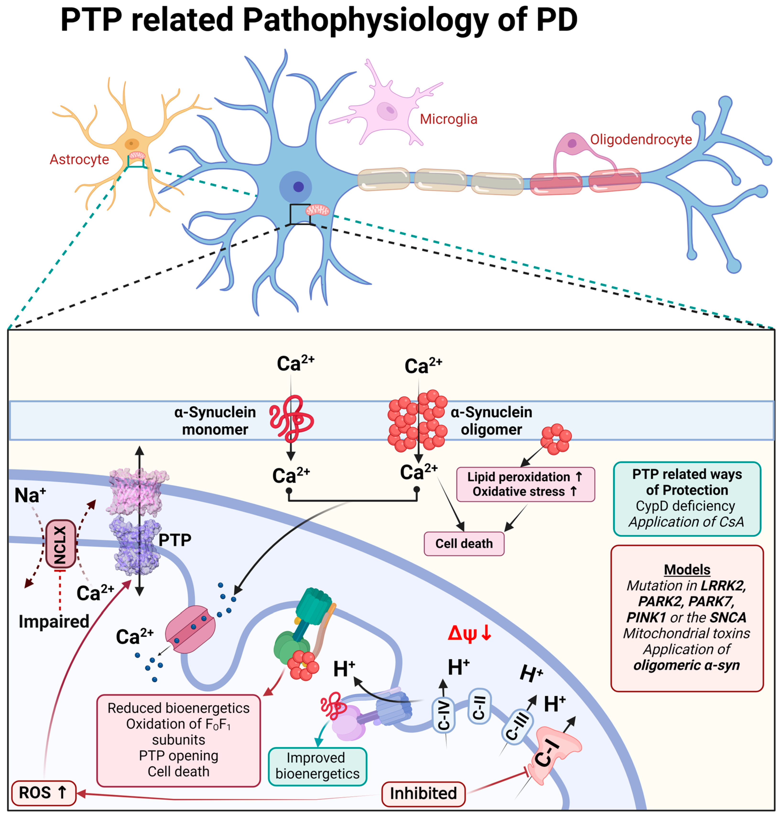 Cells 13 00648 g003 Cells 13 00648 g003