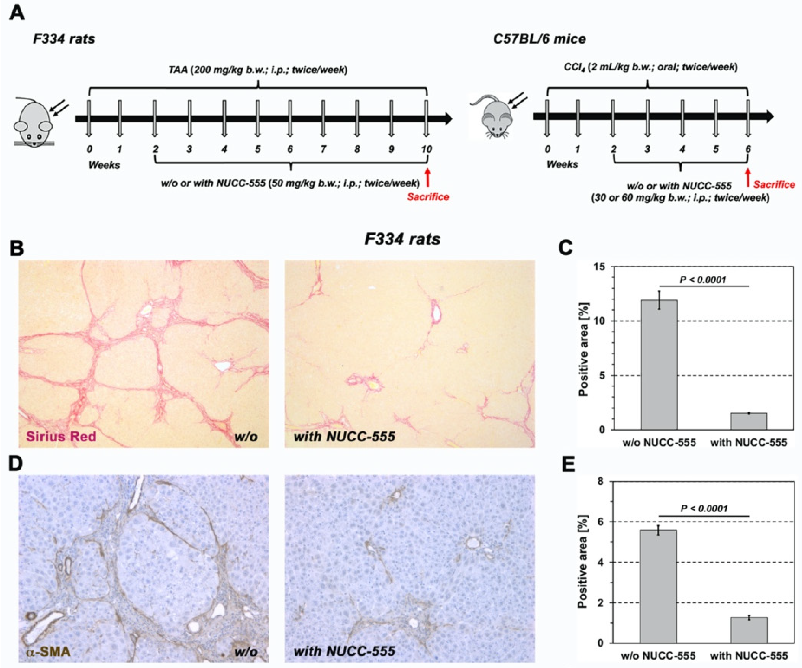 Cells 13 00649 g005a