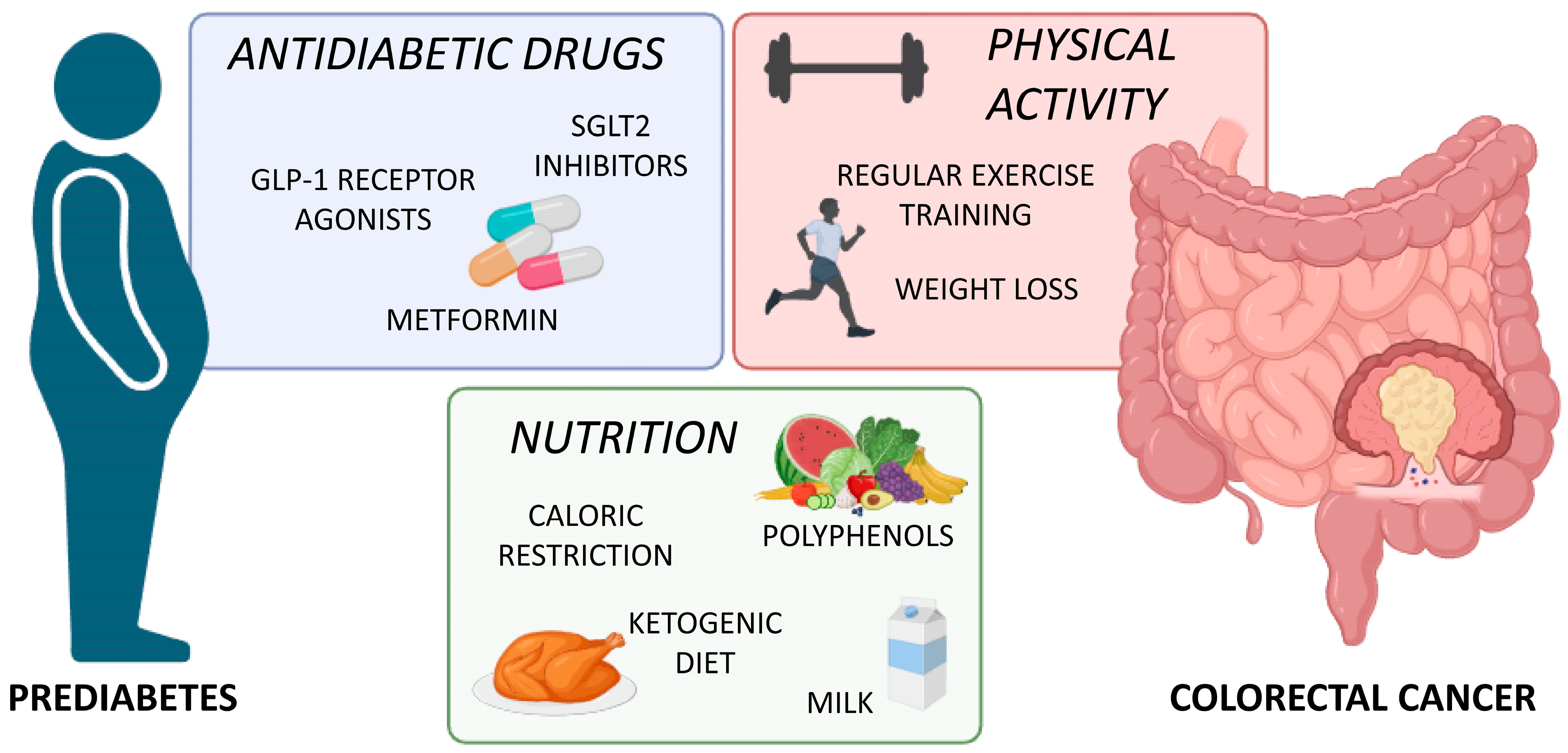 Cells 13 00663 g003 Cells 13 00663 g003
