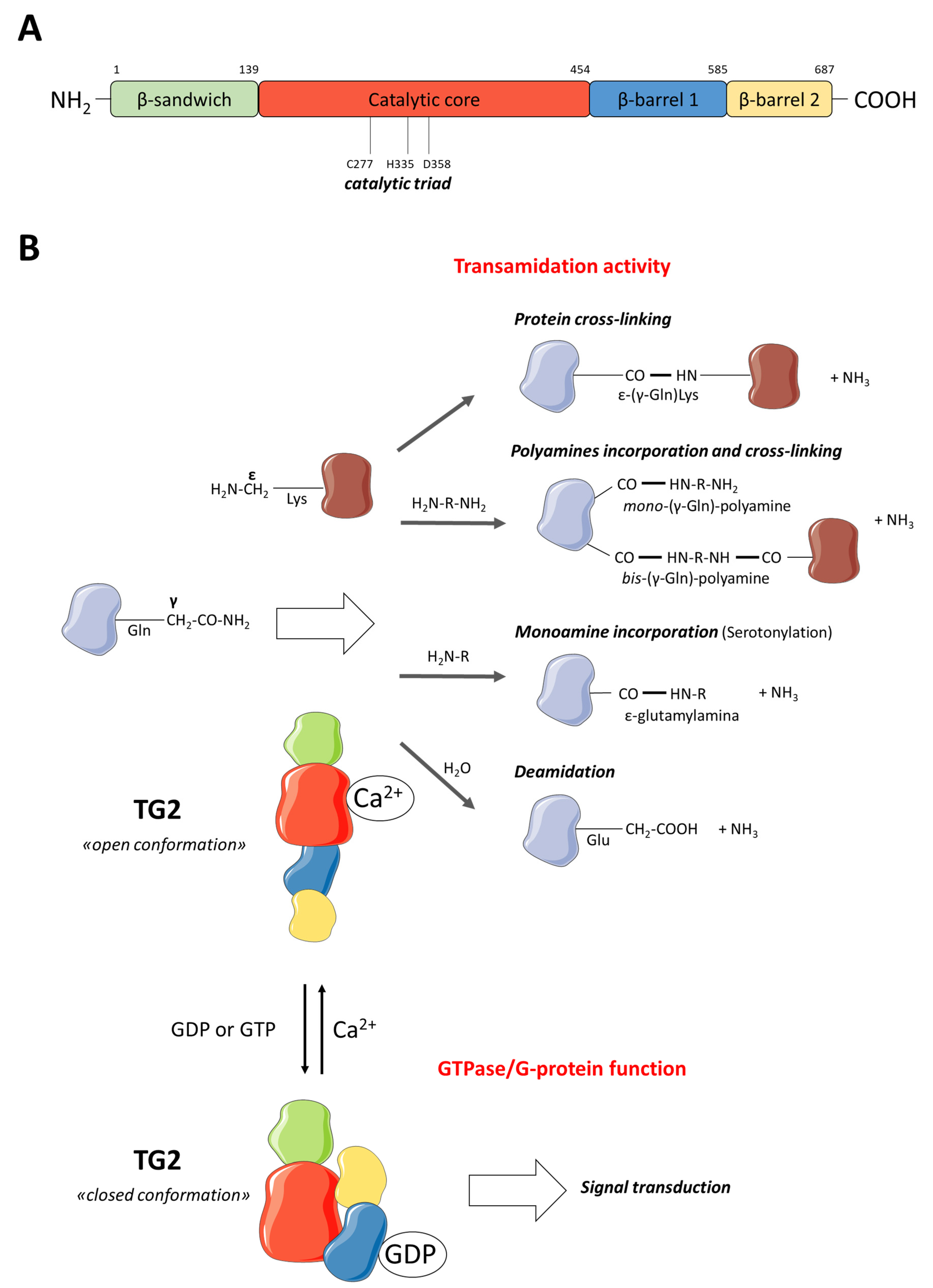 Cells 13 00667 g001 Cells 13 00667 g001
