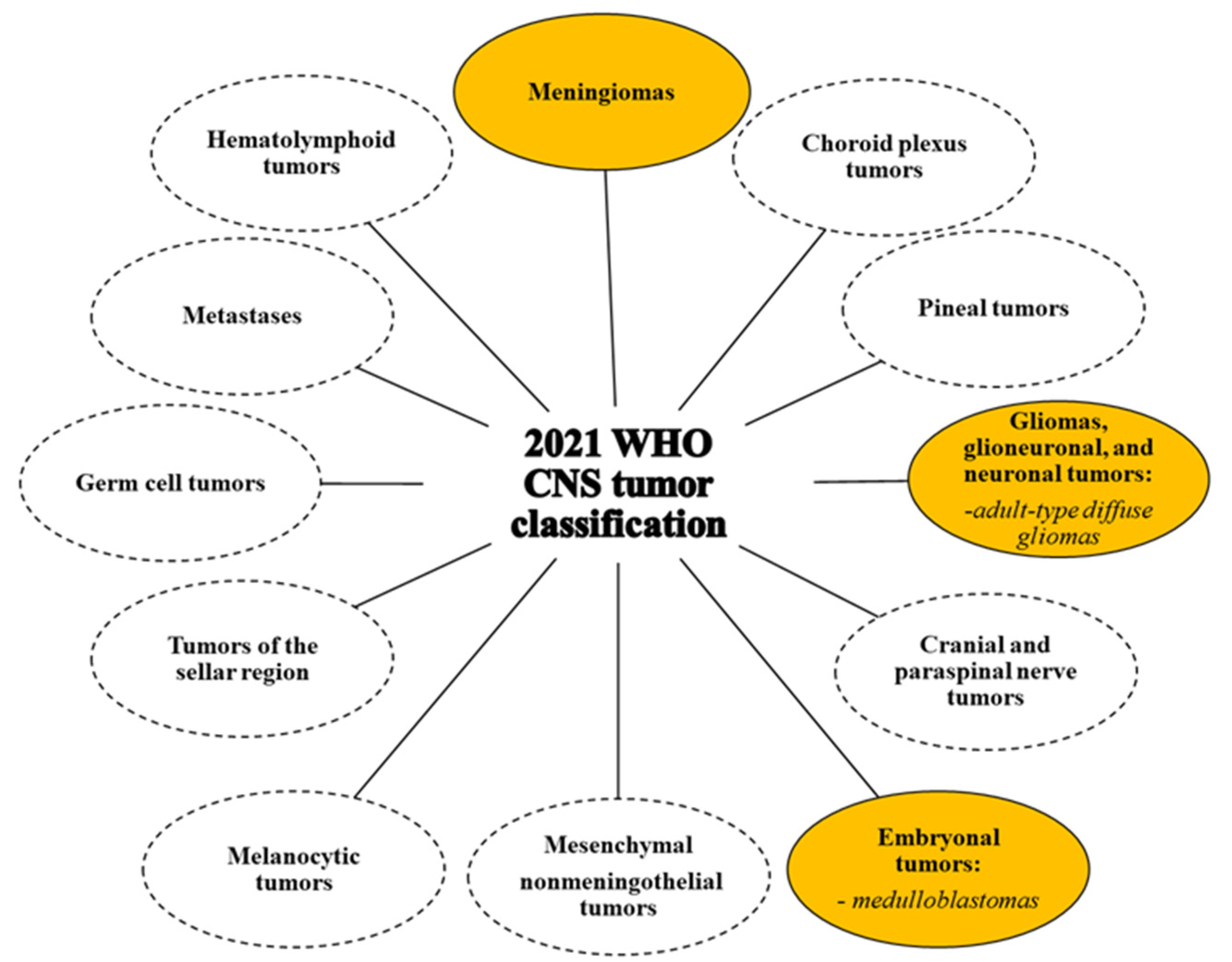 Cells 13 00667 g002 Cells 13 00667 g002