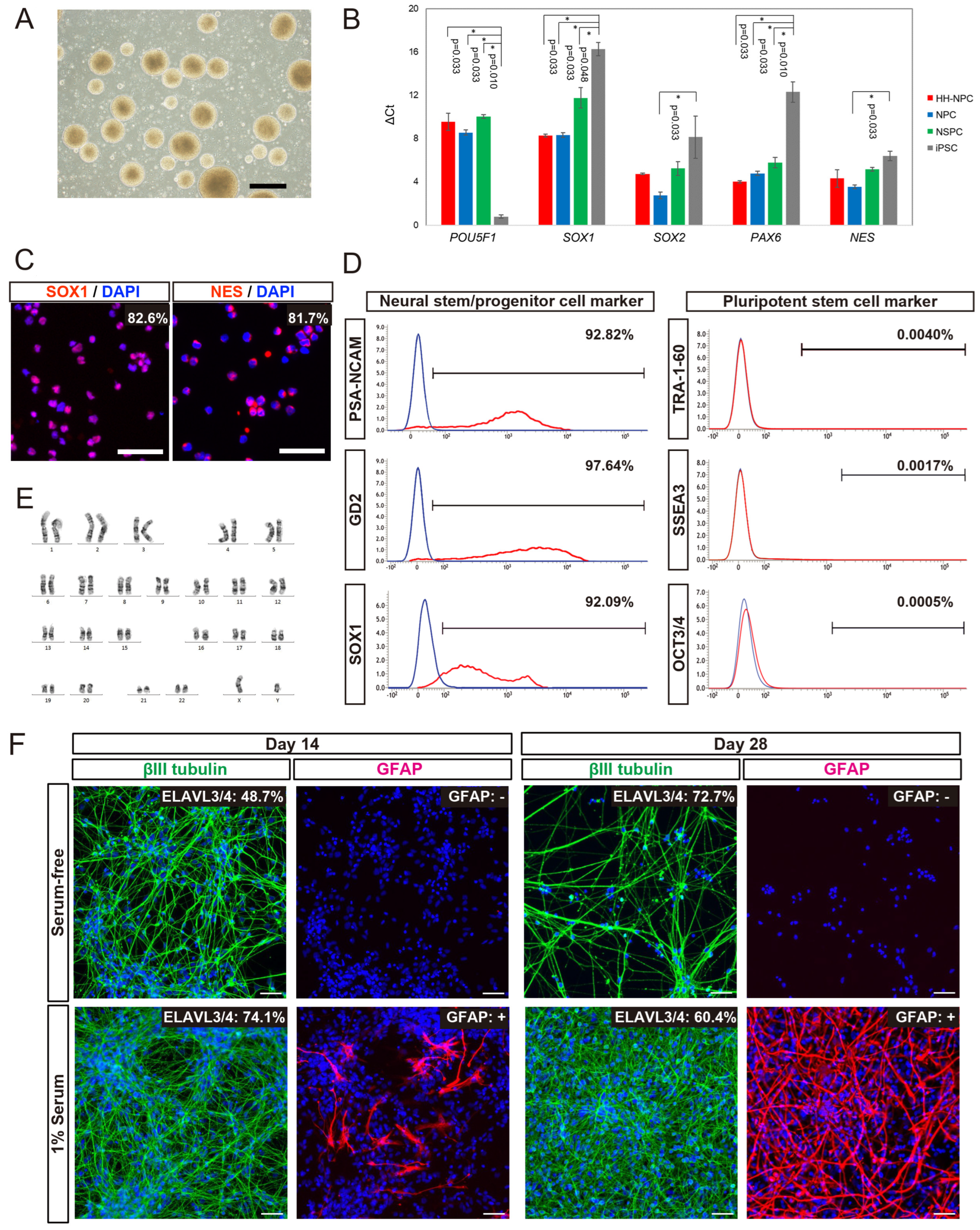 Cells 13 00671 g001