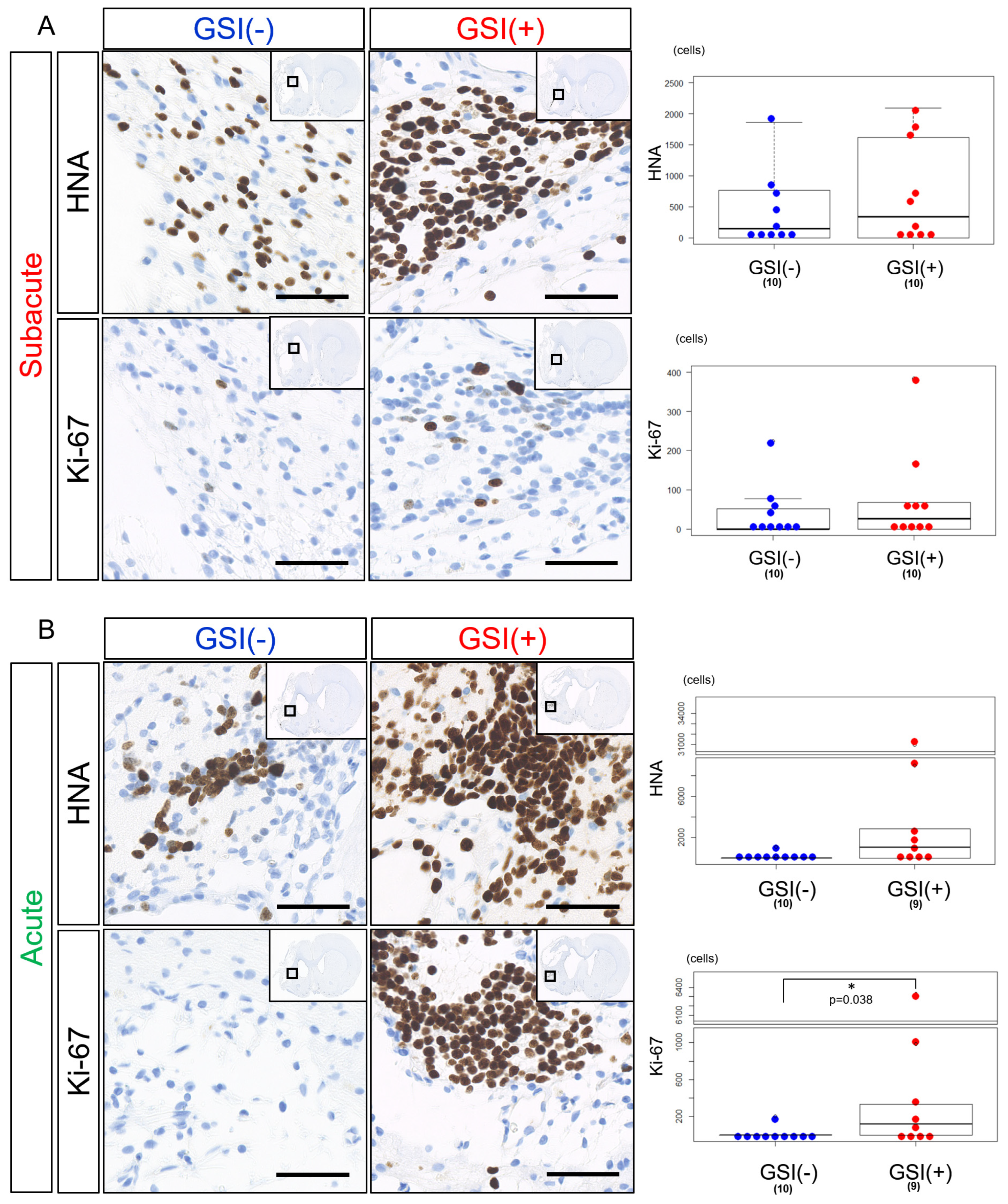 Cells 13 00671 g004