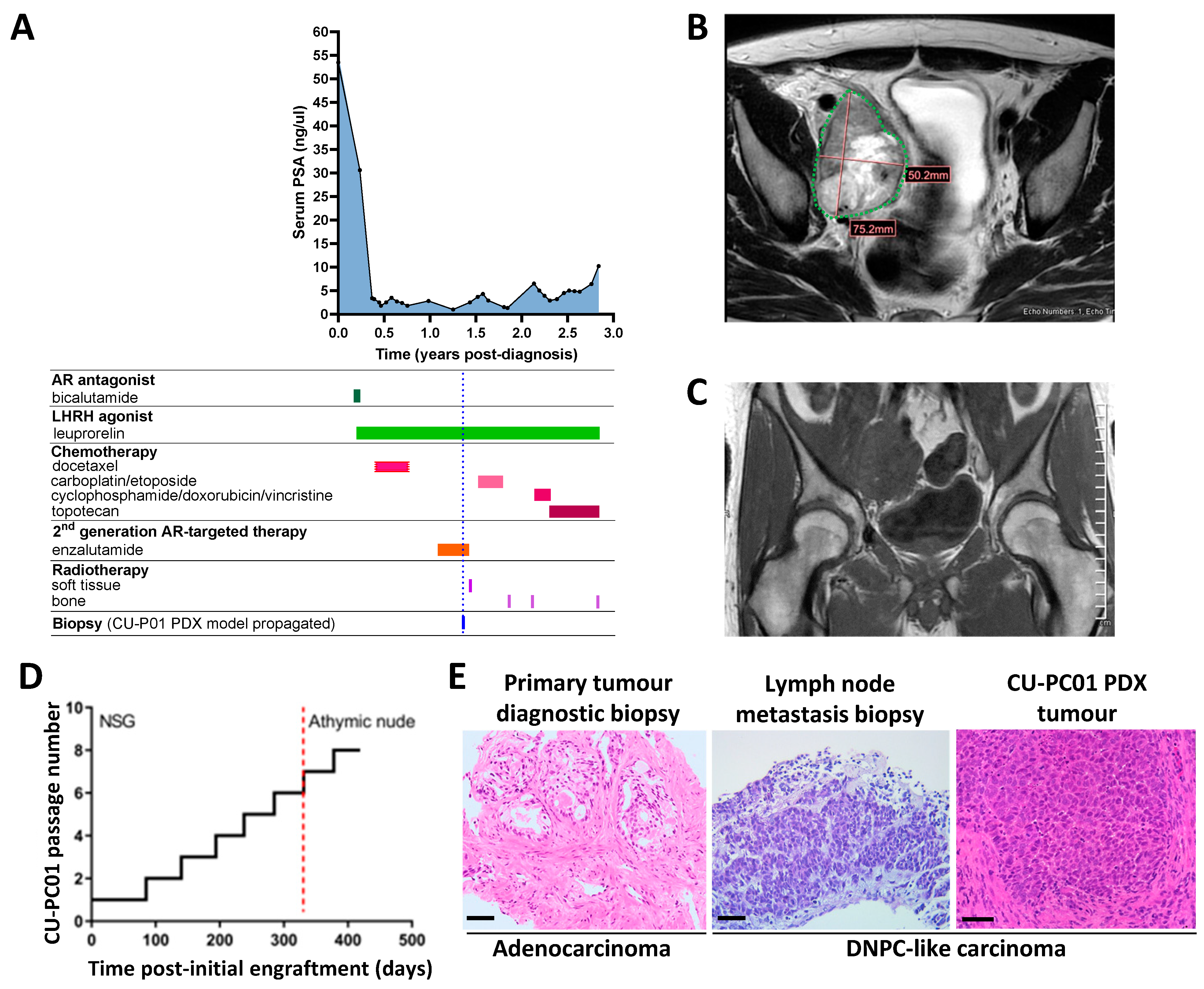 Cells 13 00673 g001 Cells 13 00673 g001