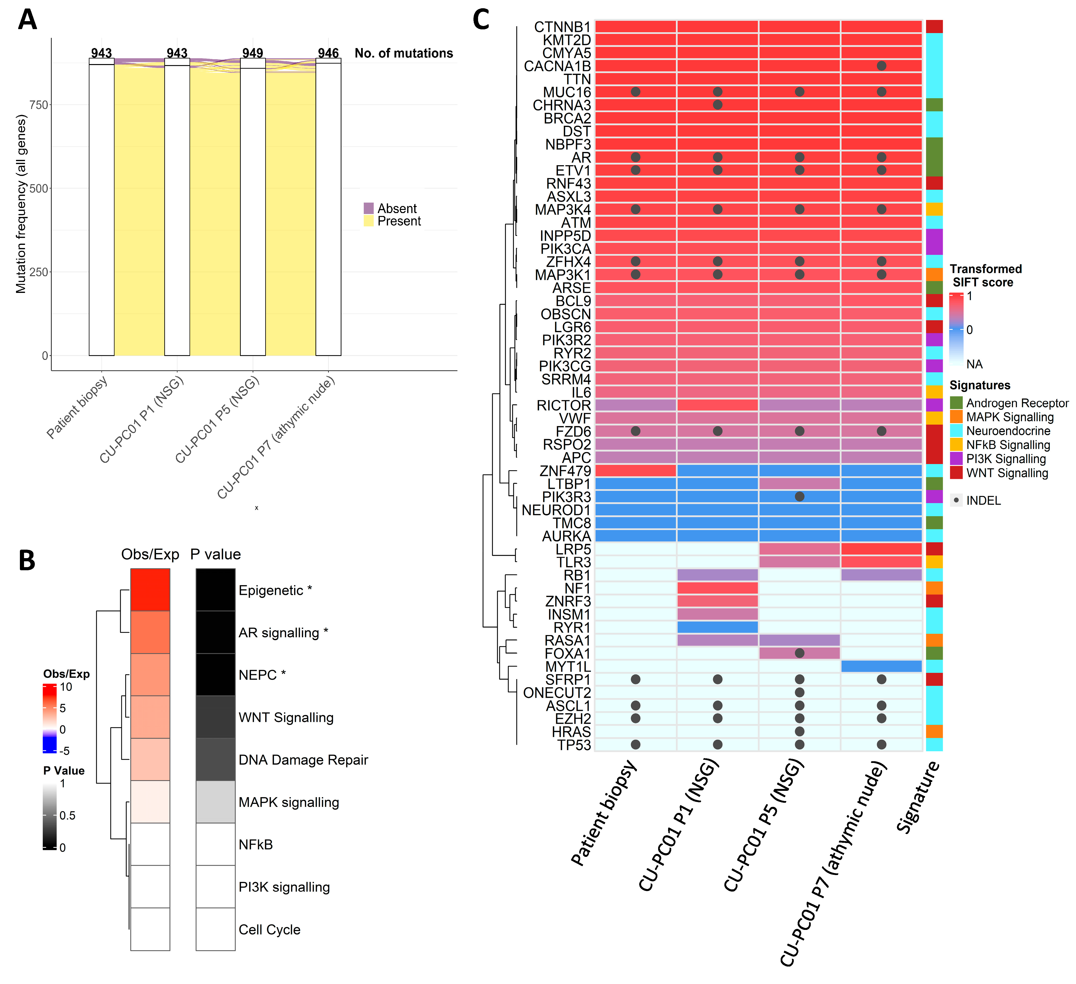 Cells 13 00673 g002 Cells 13 00673 g002