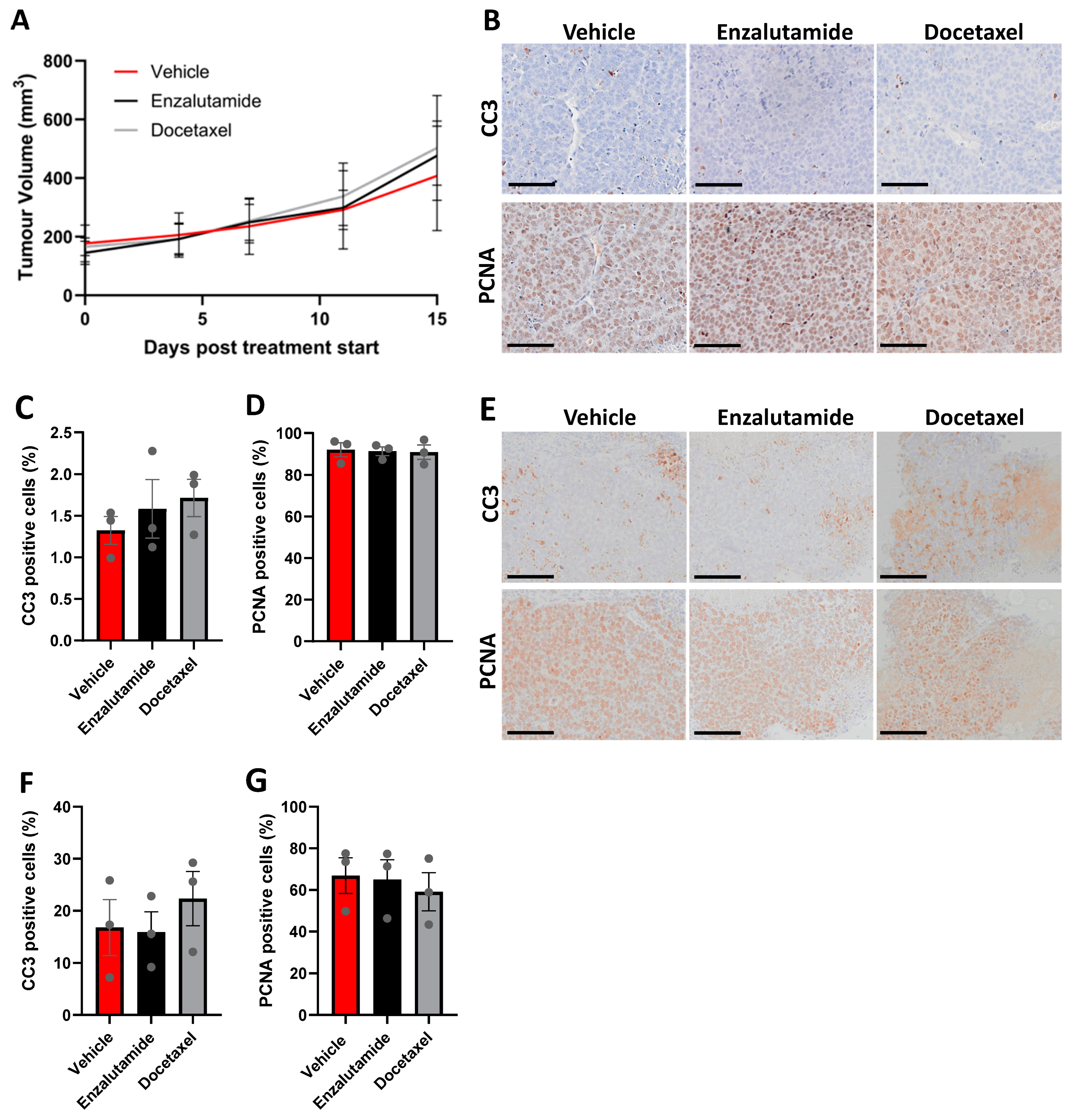 Cells 13 00673 g006 Cells 13 00673 g006