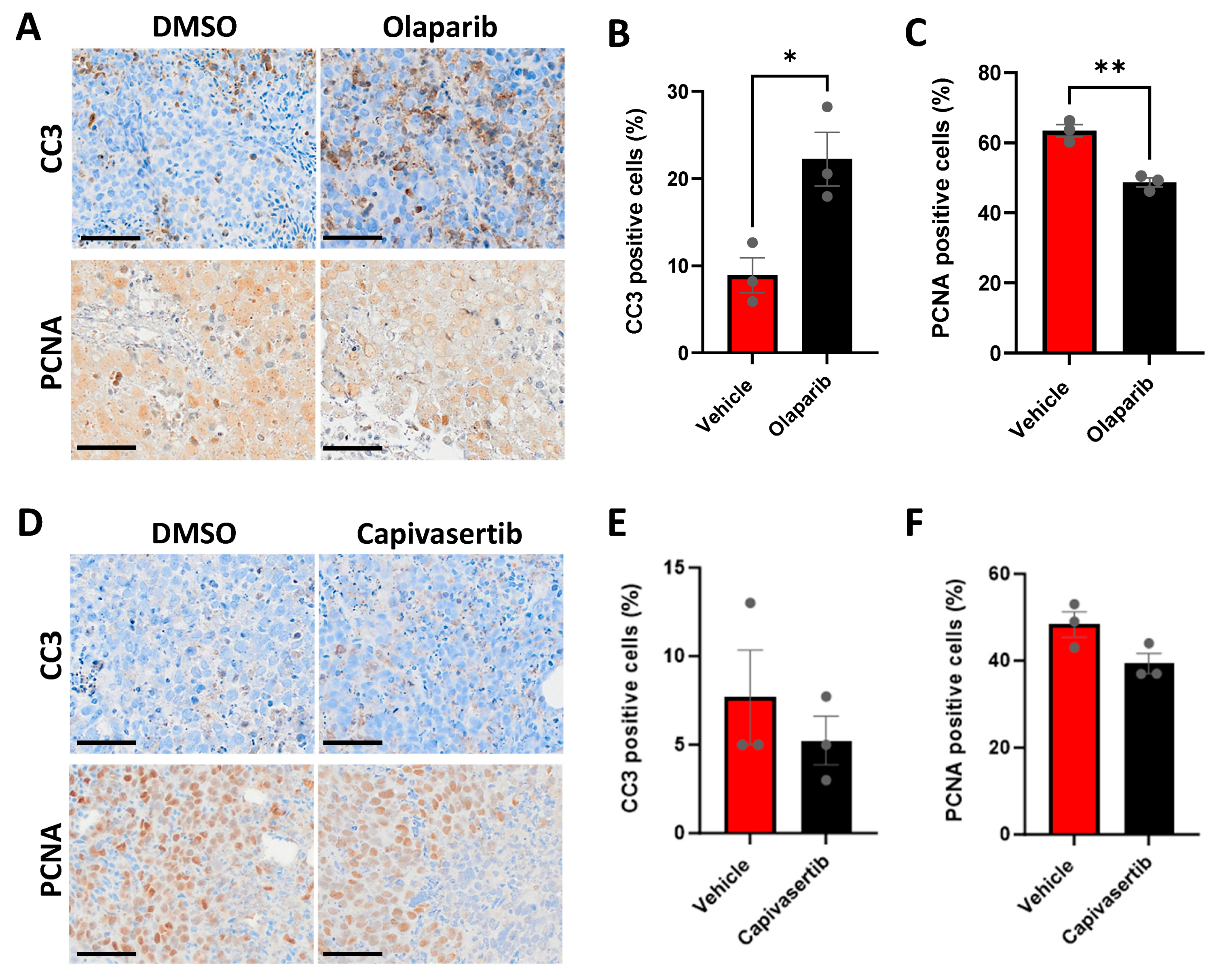 Cells 13 00673 g007 Cells 13 00673 g007