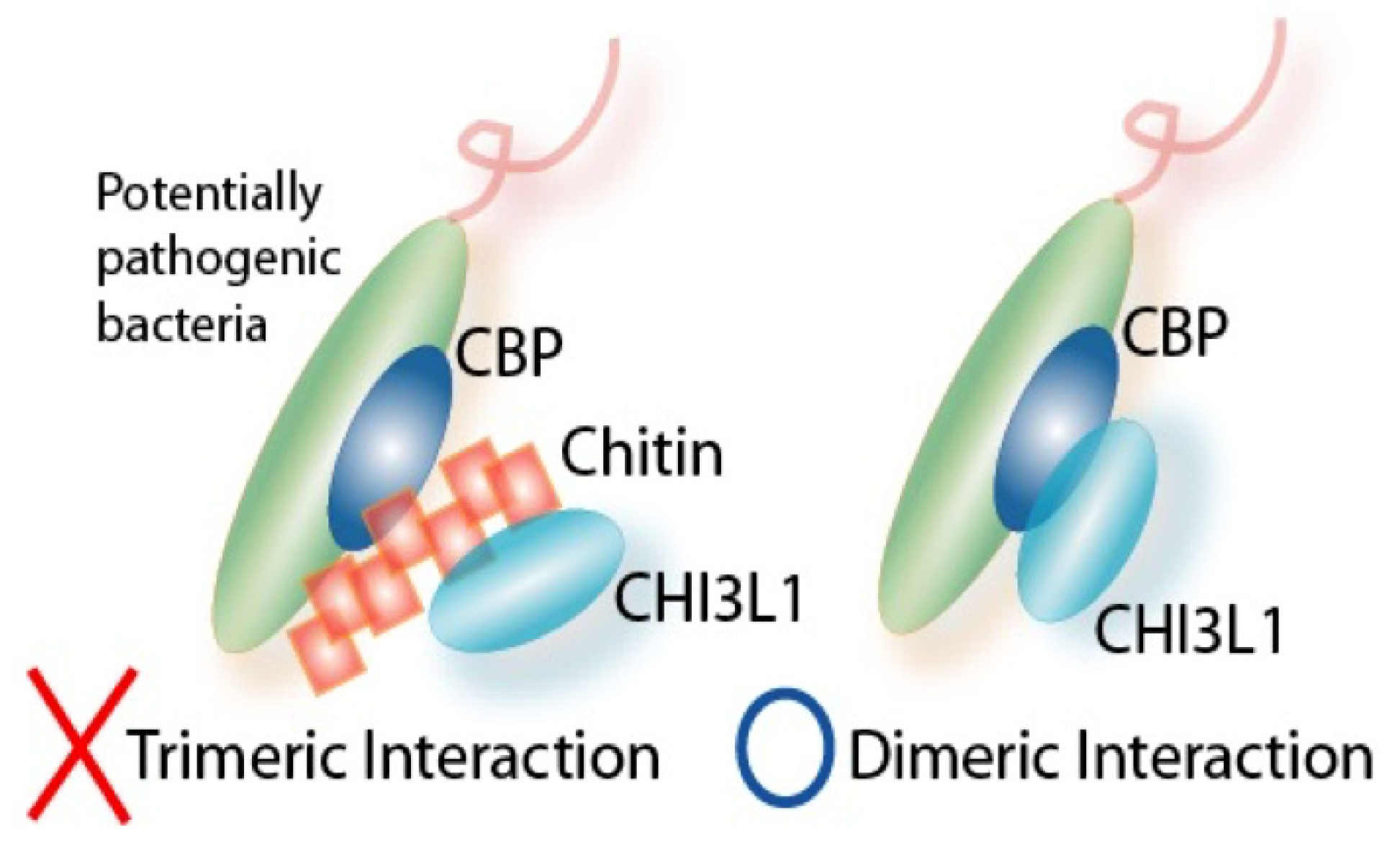 Cells 13 00678 g004 Cells 13 00678 g004