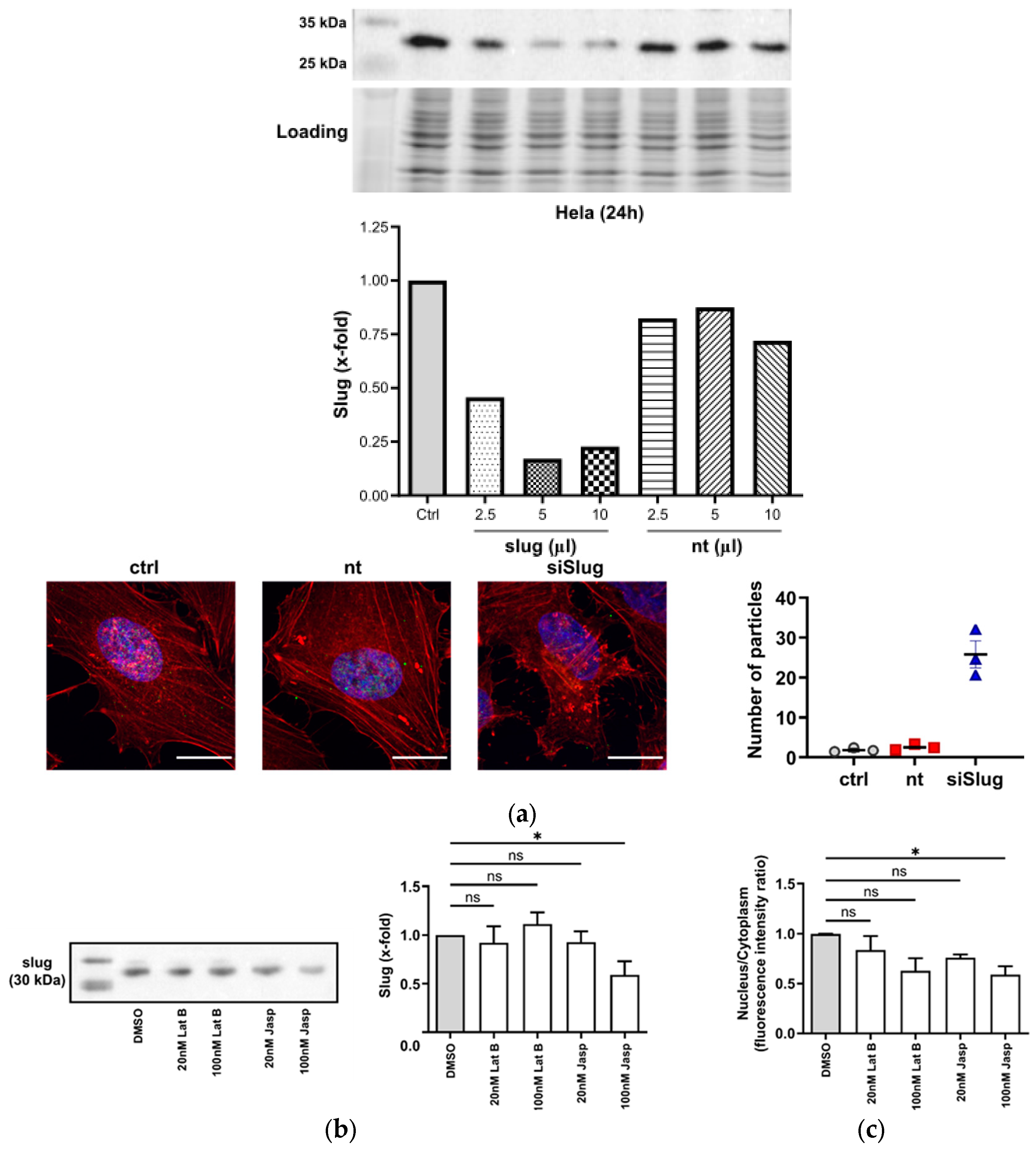 Cells 13 00696 g002 Cells 13 00696 g002