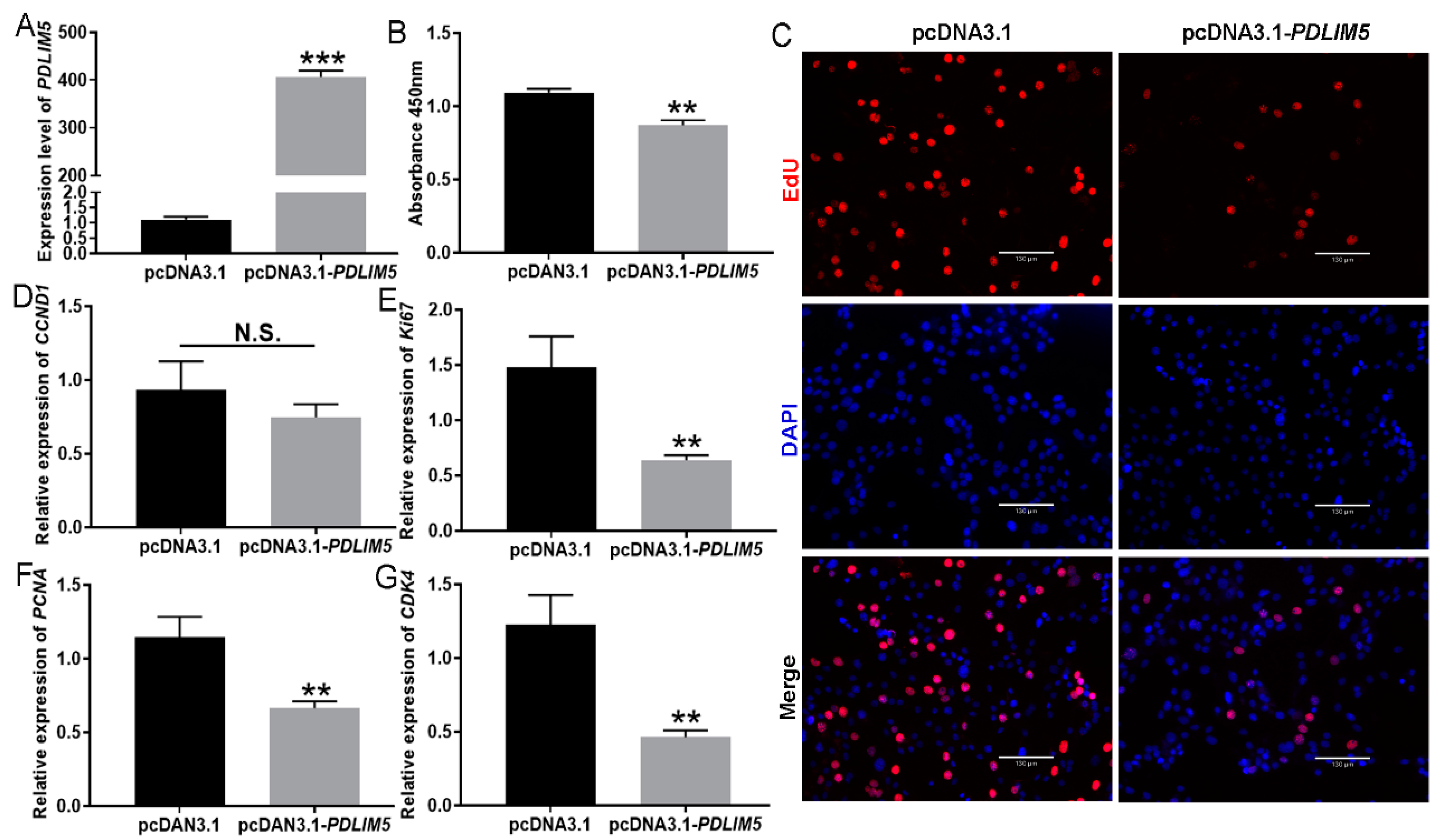 Cells 13 00720 g002
