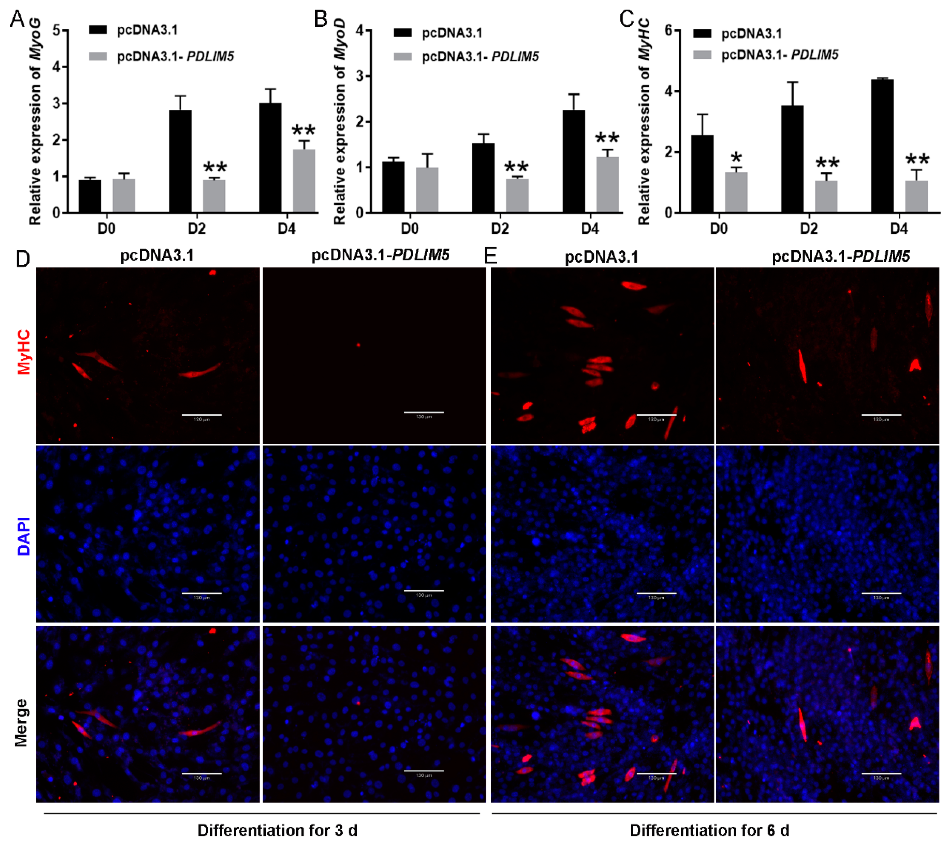 Cells 13 00720 g003