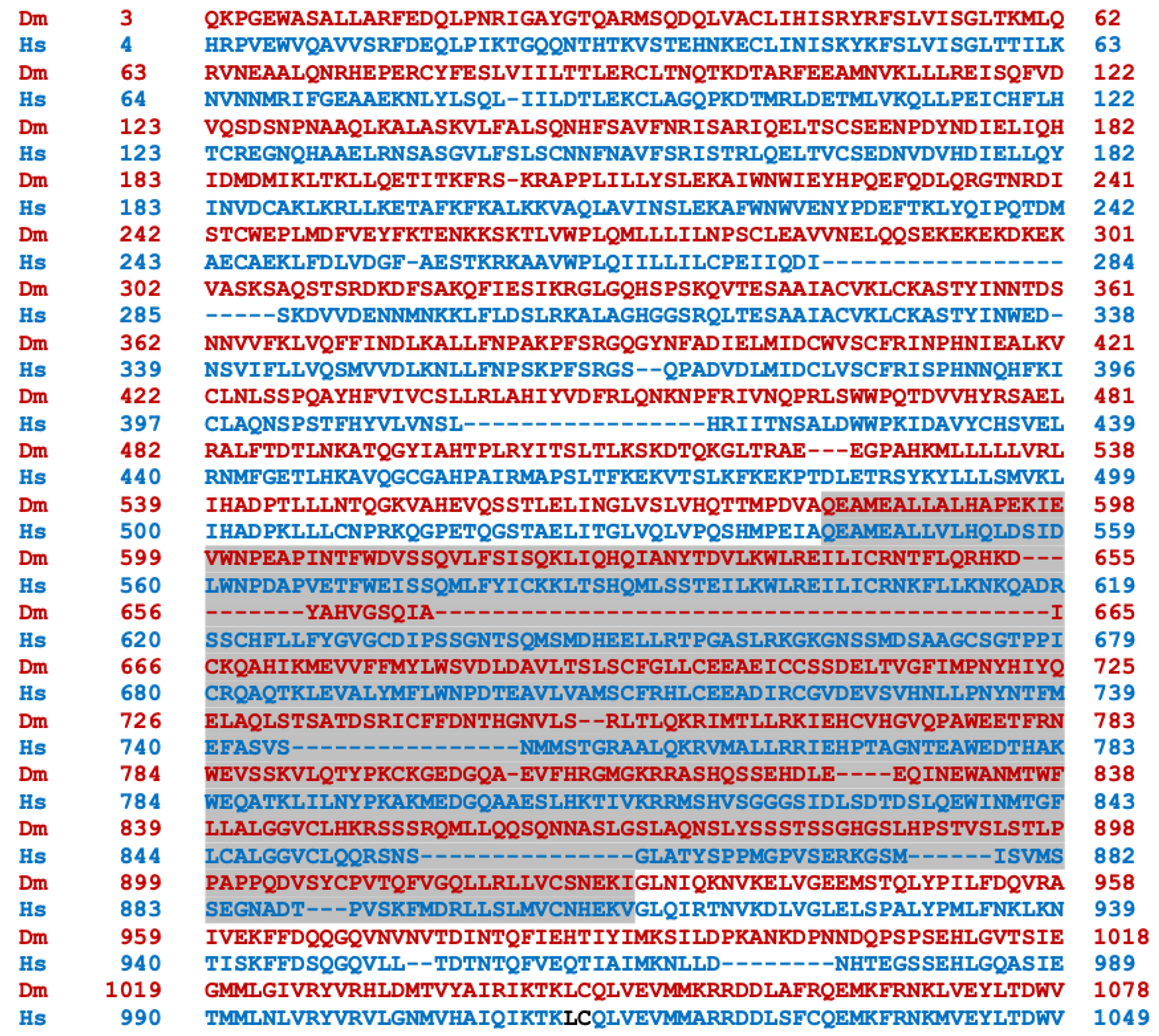 Cells 13 00721 g002a