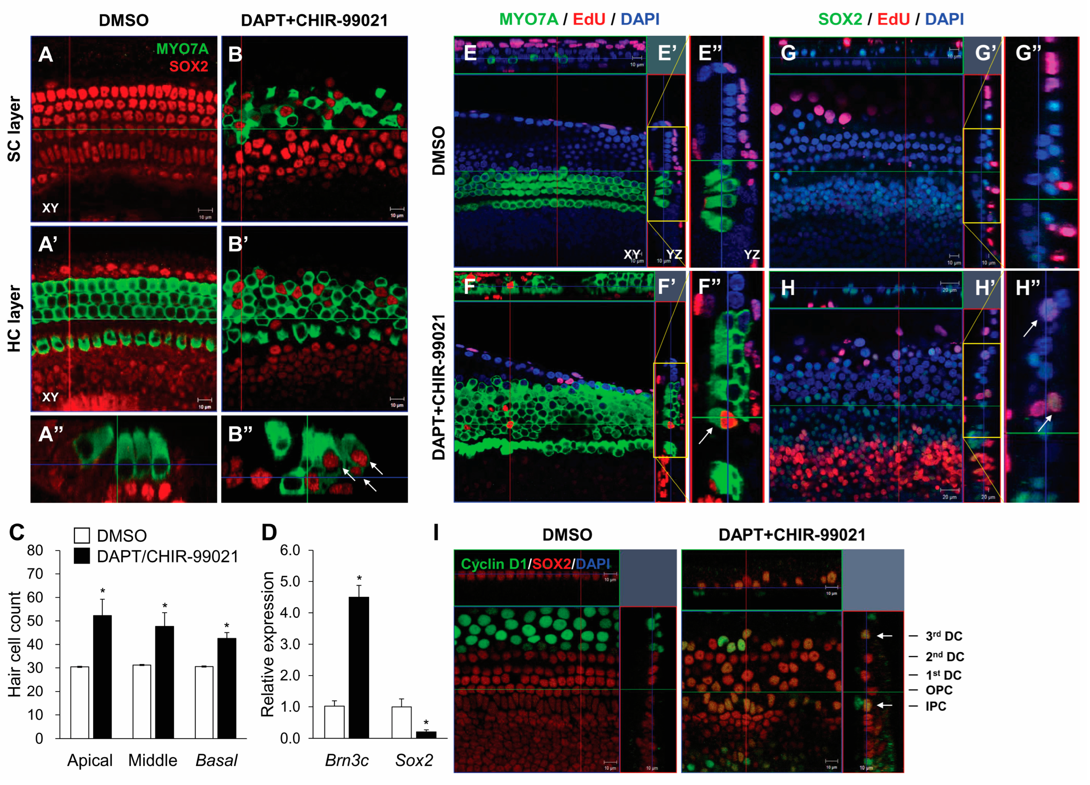 Cells 13 00737 g004 Cells 13 00737 g004