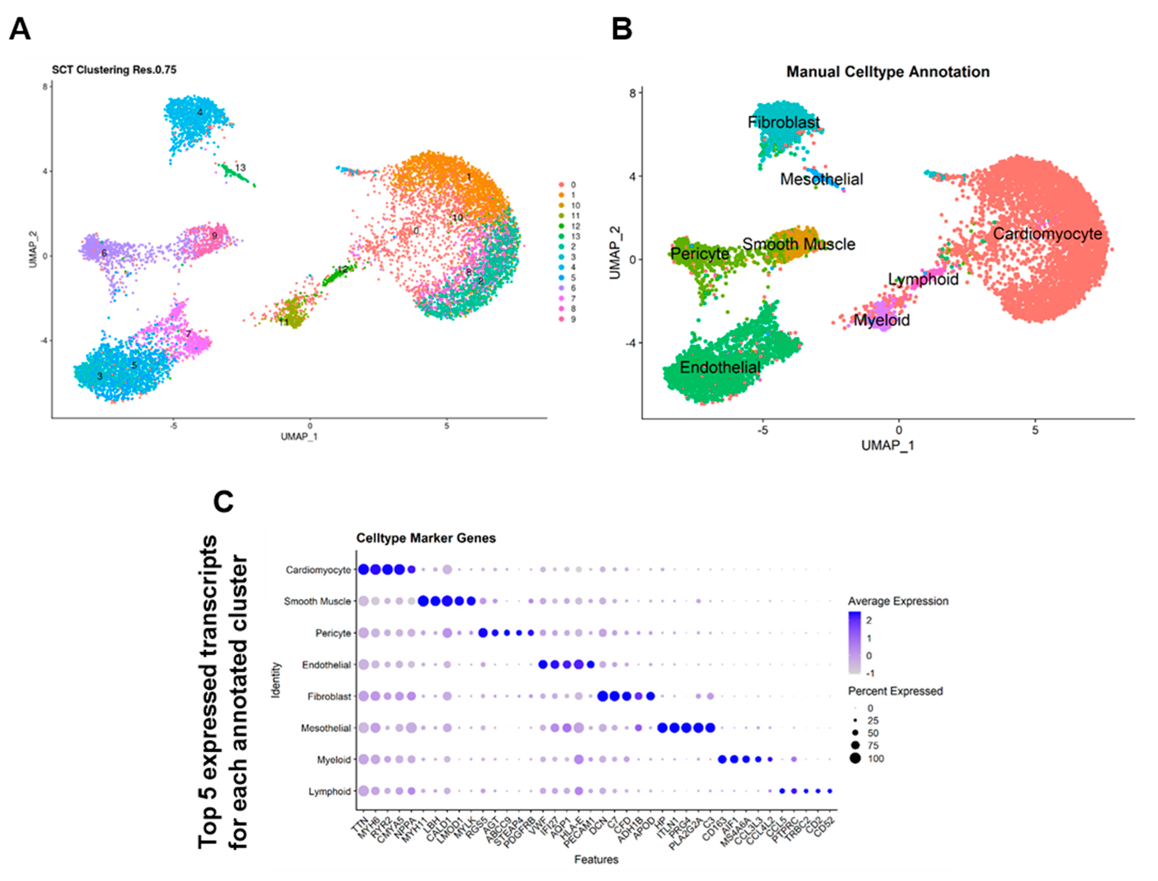 Cells 13 00752 g001 Cells 13 00752 g001