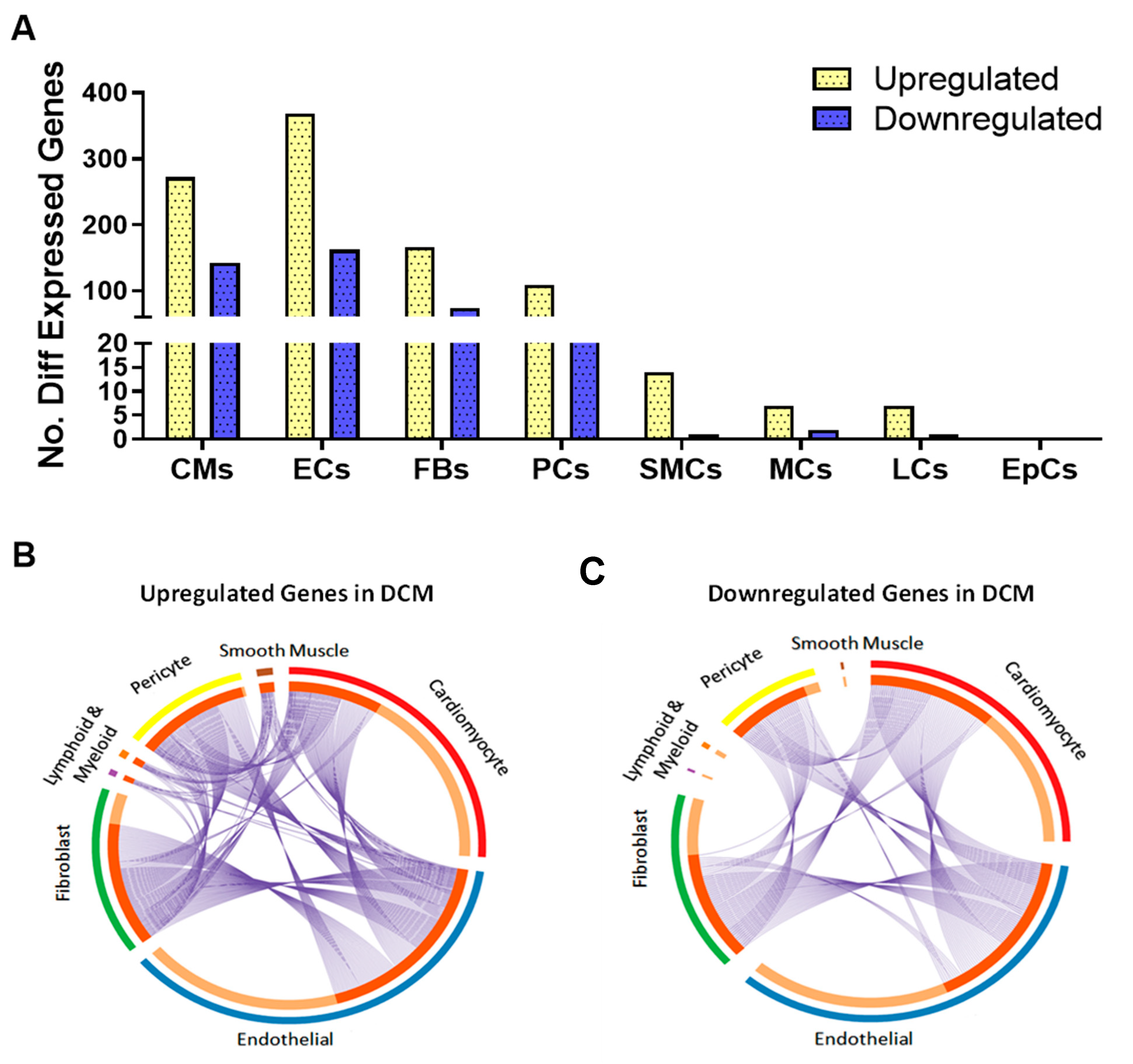 Cells 13 00752 g002 Cells 13 00752 g002