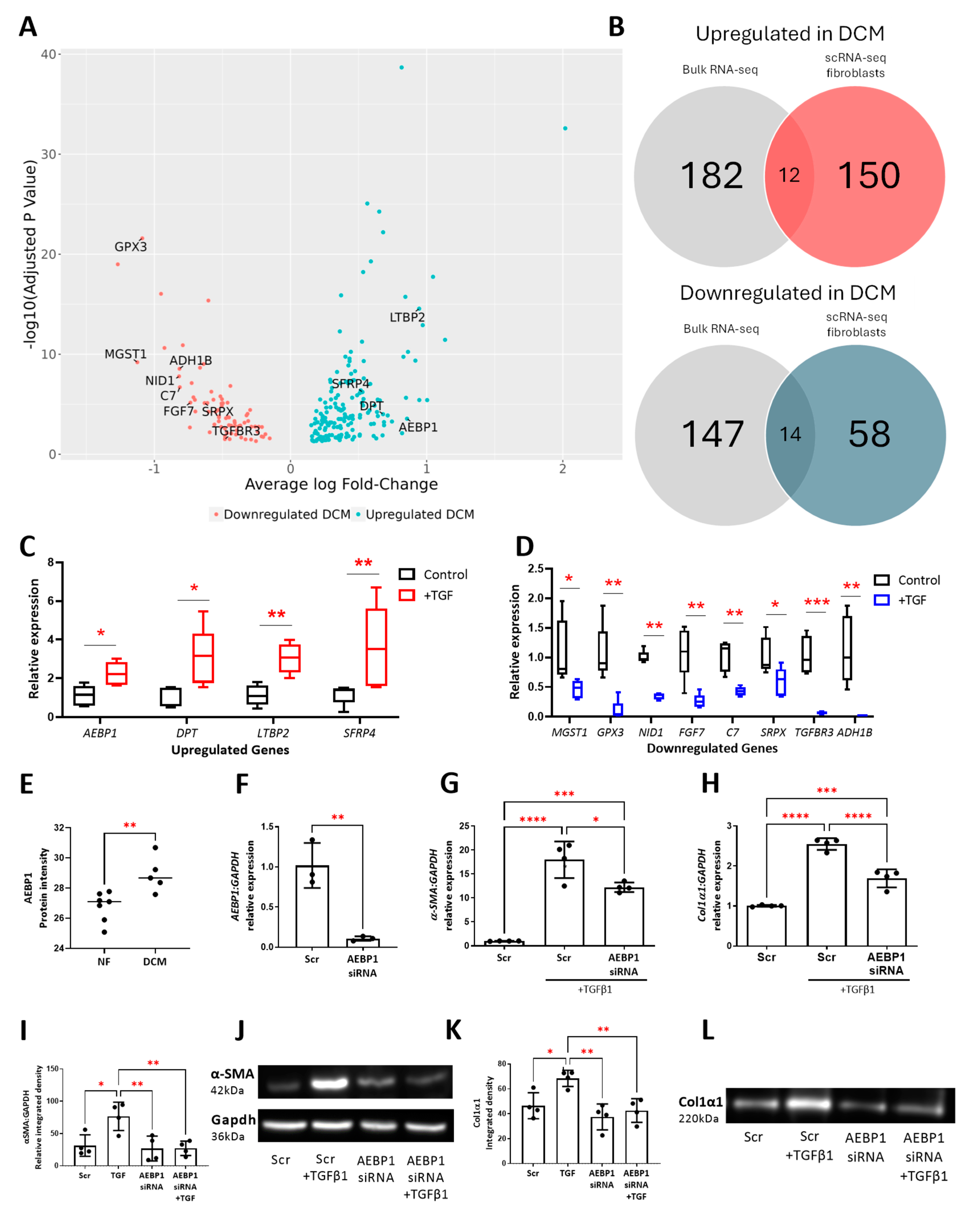 Cells 13 00752 g003 Cells 13 00752 g003
