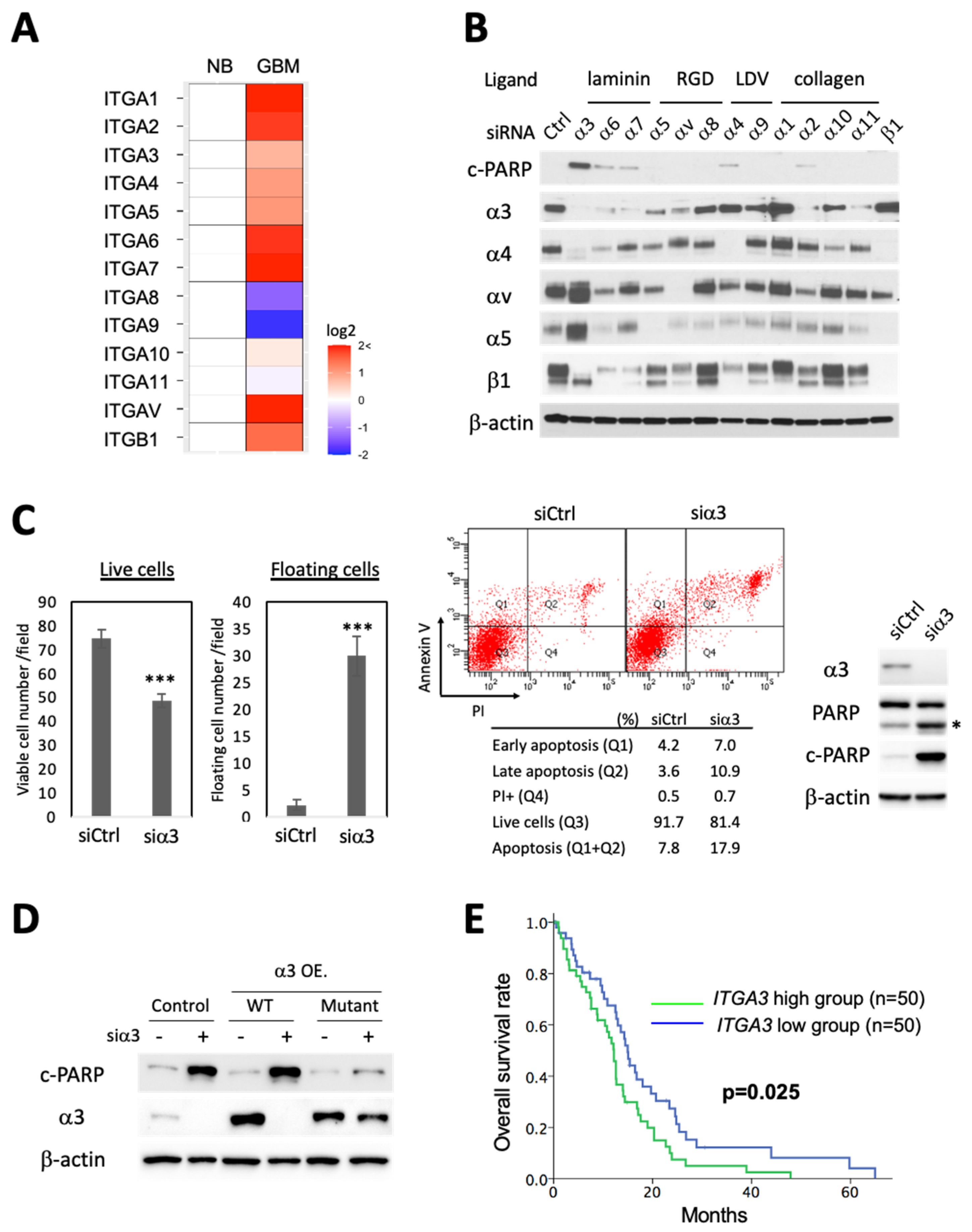 Cells 13 00753 g001 Cells 13 00753 g001