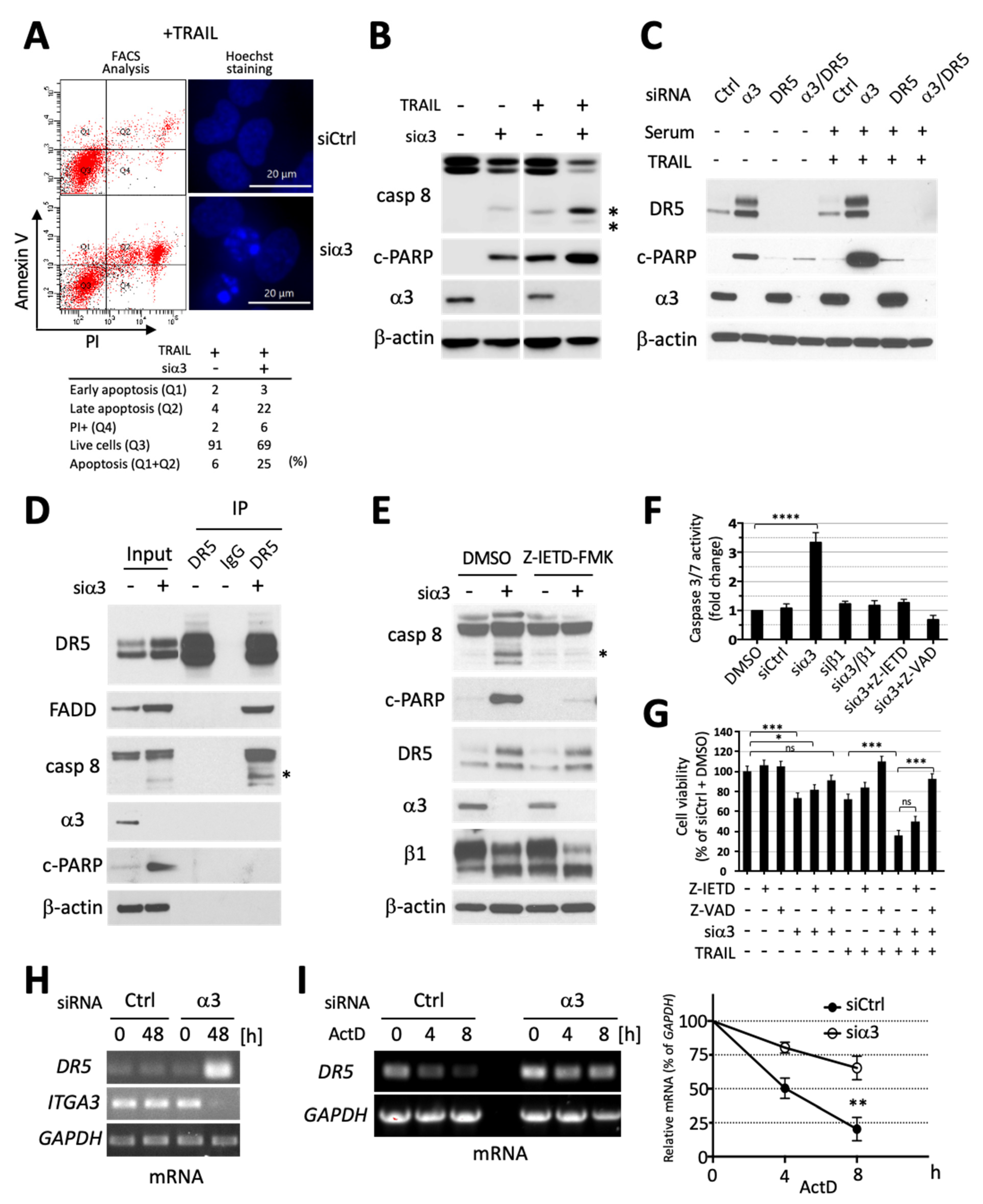 Cells 13 00753 g003 Cells 13 00753 g003