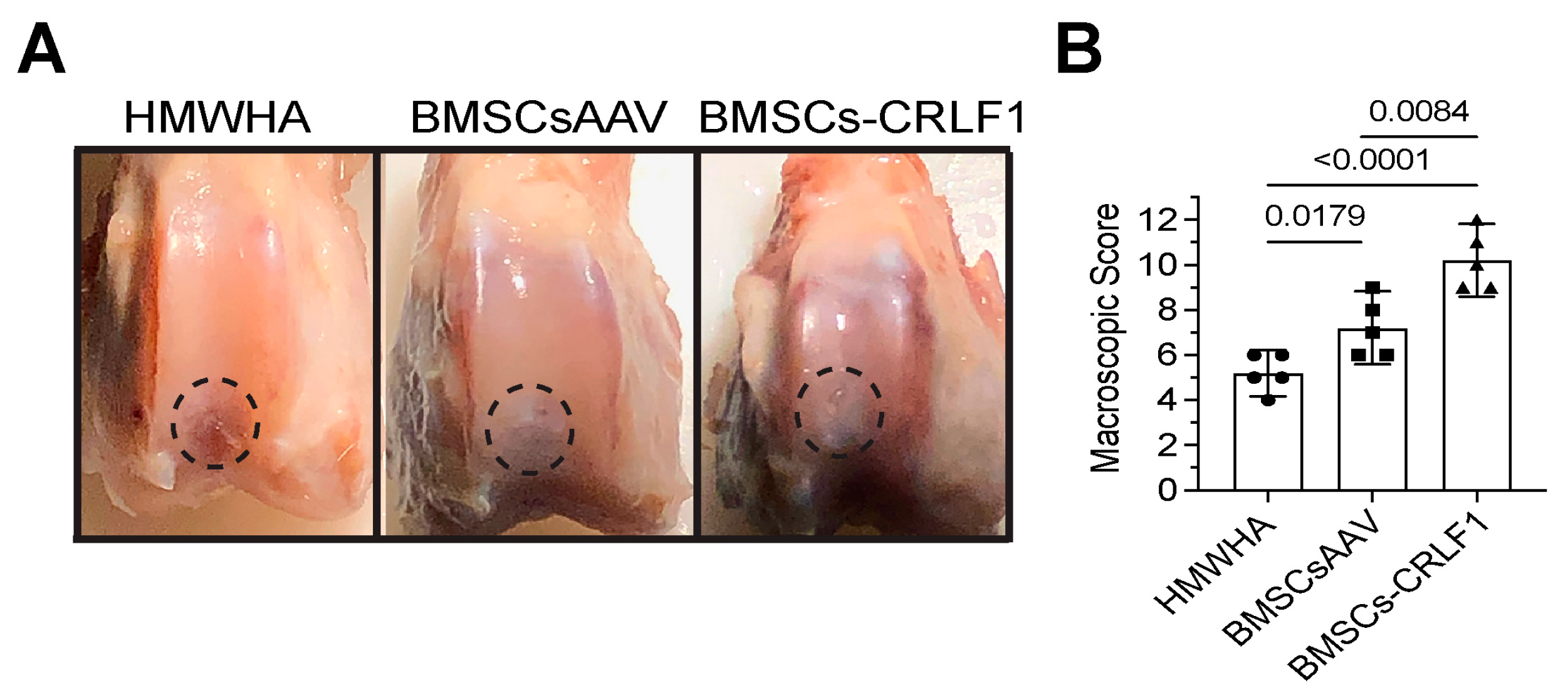 Cells 13 00757 g001 Cells 13 00757 g001