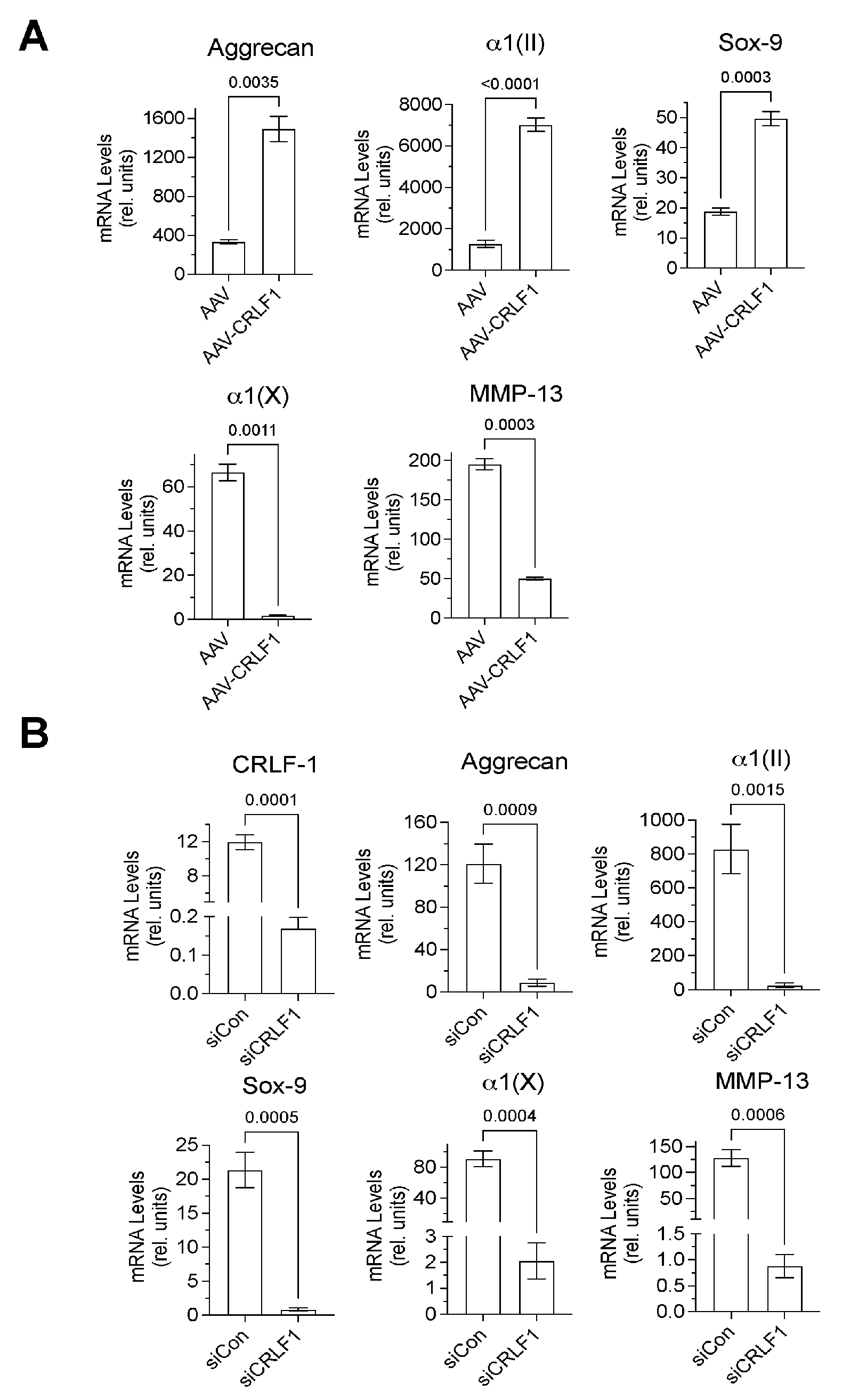 Cells 13 00757 g004 Cells 13 00757 g004