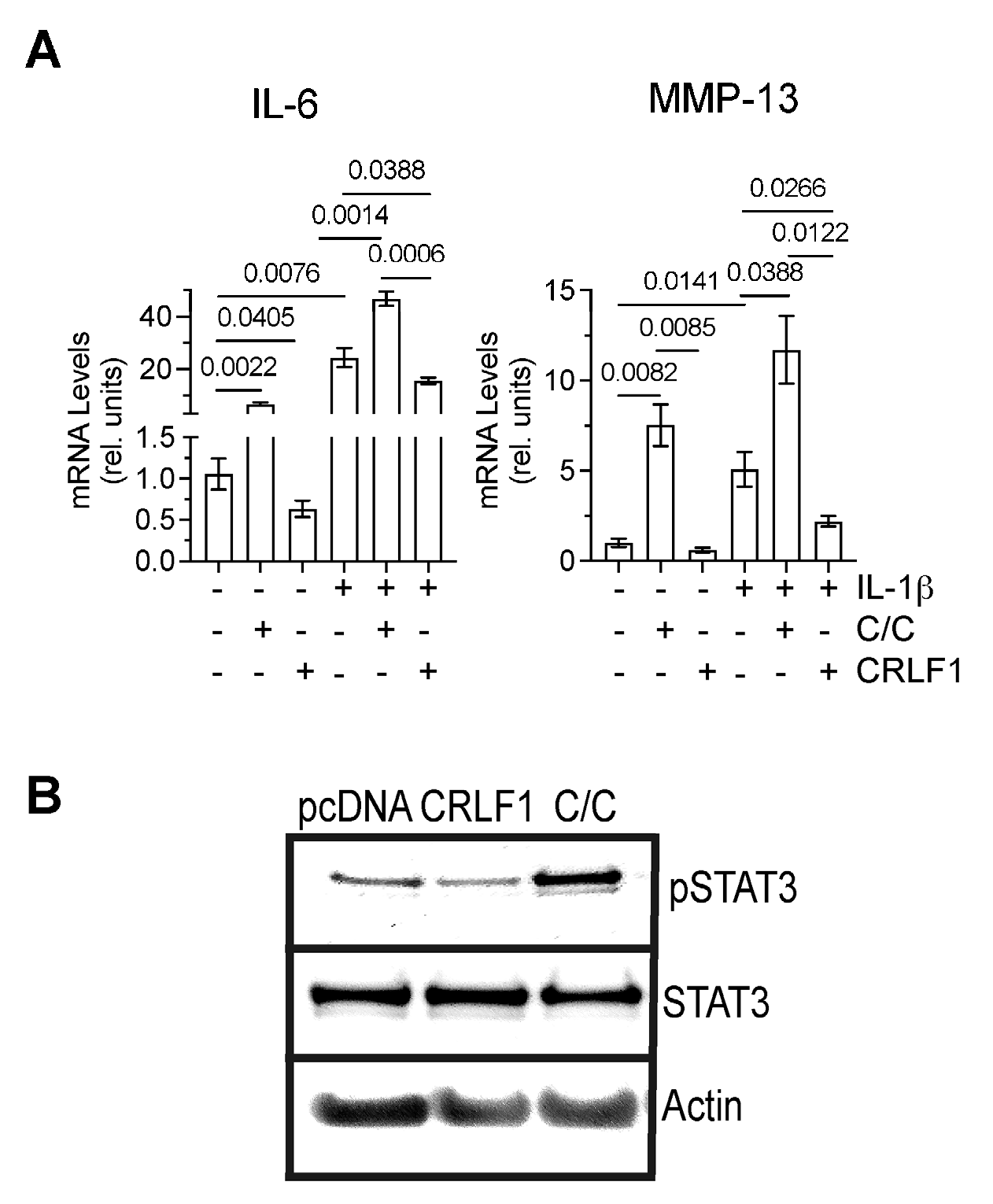Cells 13 00757 g006 Cells 13 00757 g006