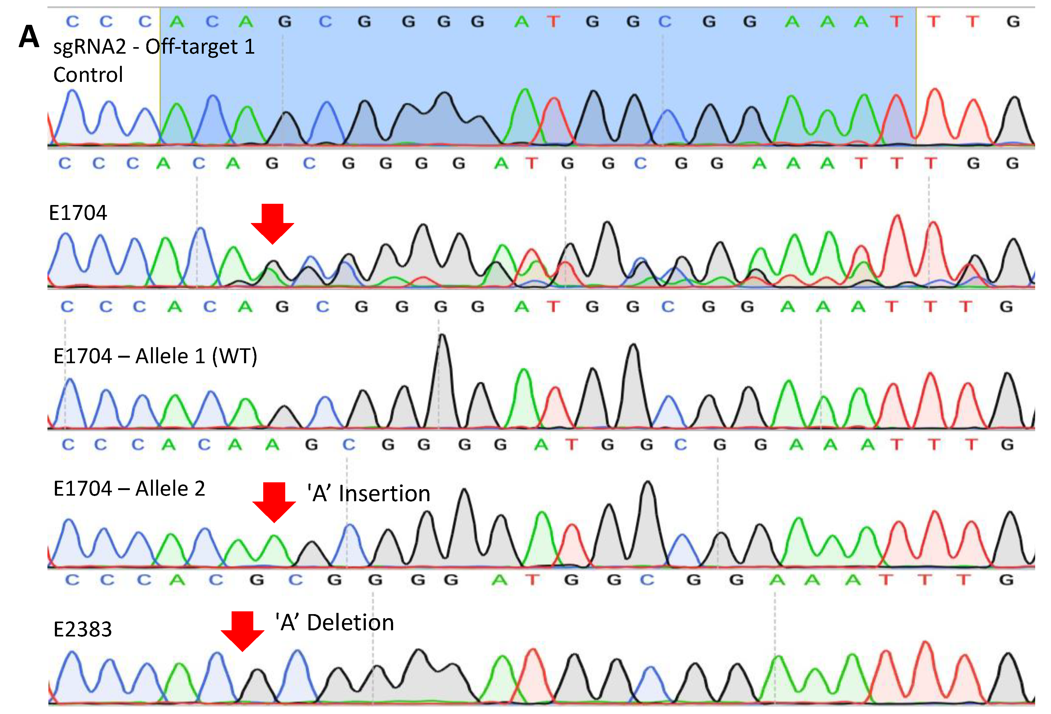 Cells 13 00829 g004a