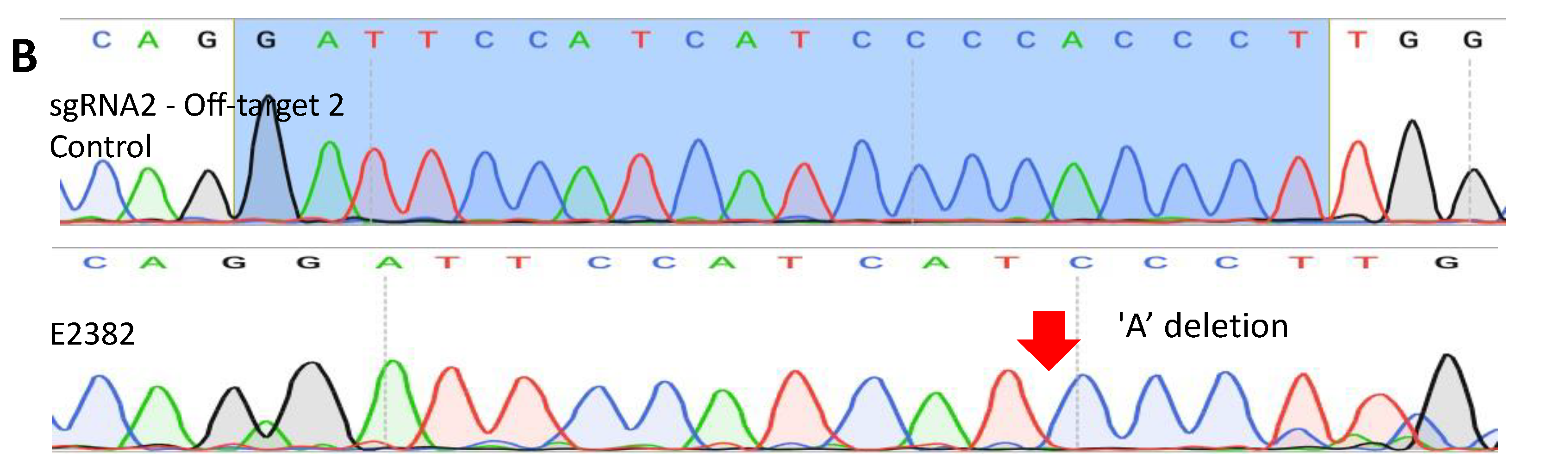 Cells 13 00829 g004b