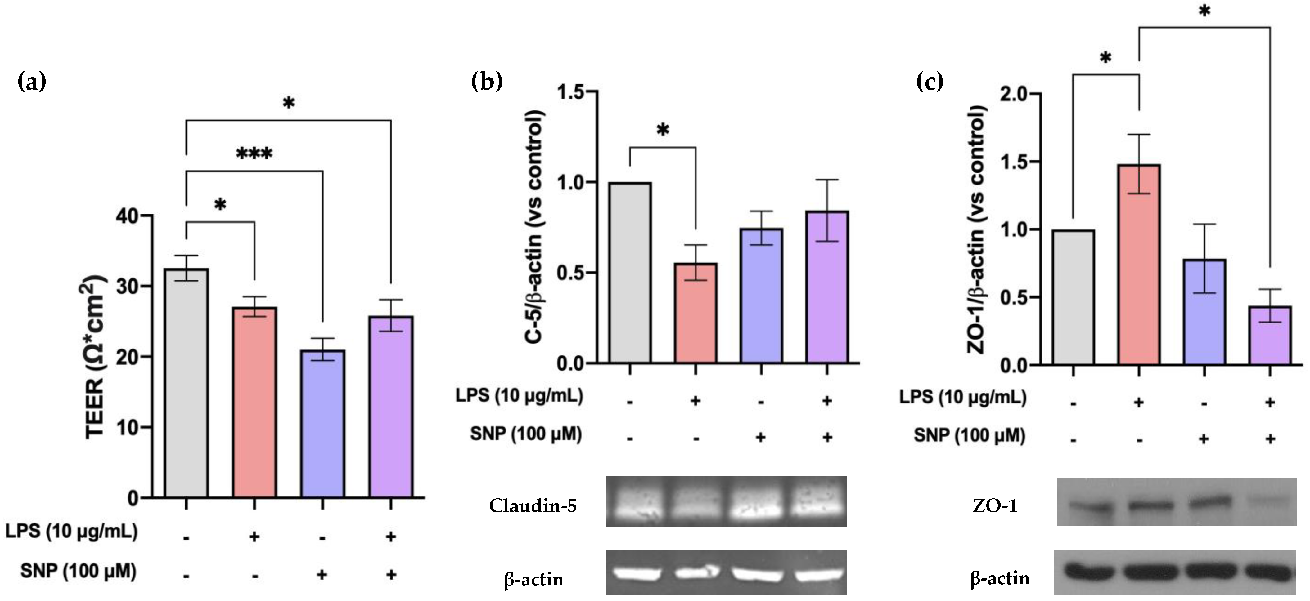 Cells 13 00843 g006 Cells 13 00843 g006