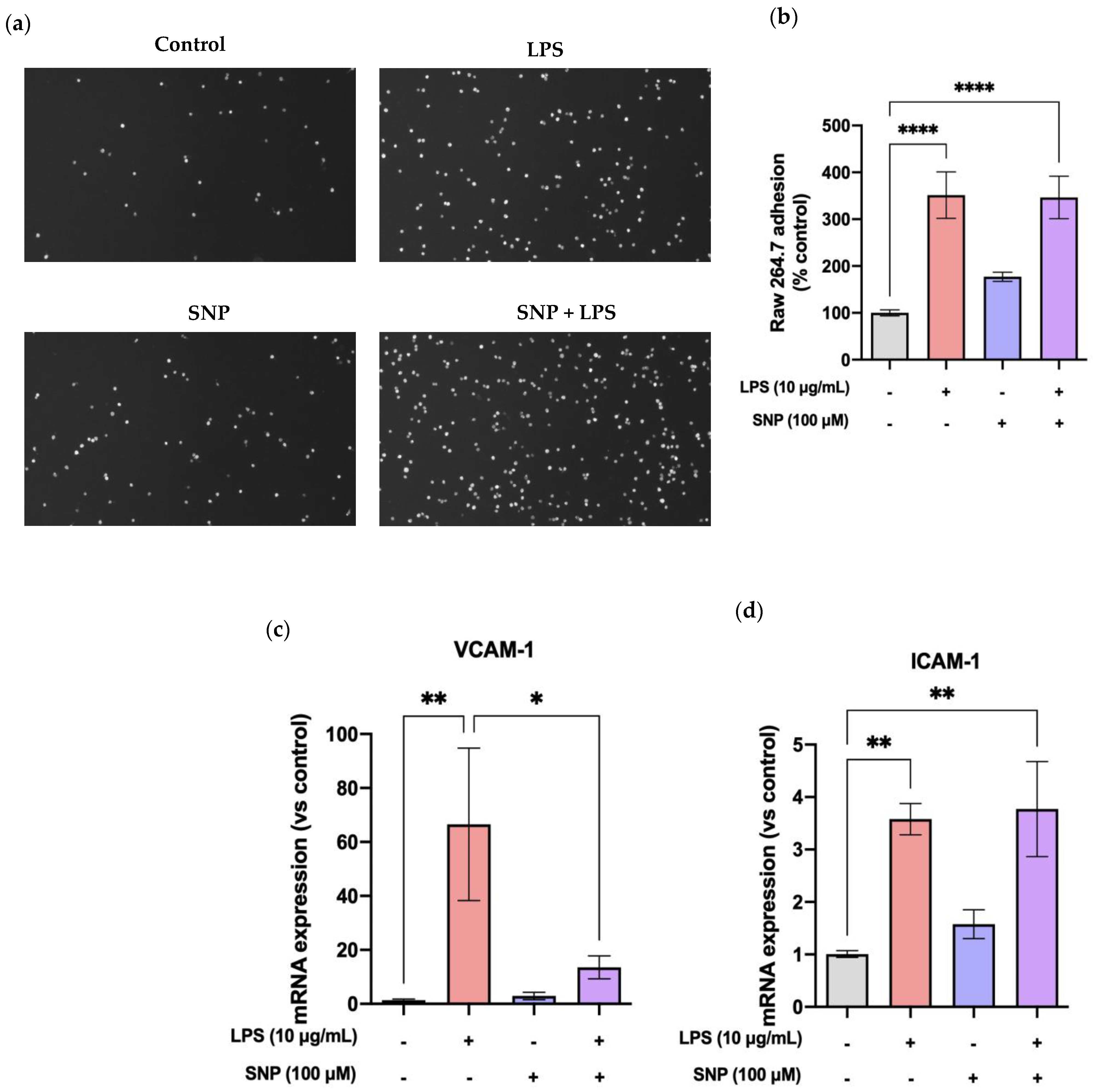 Cells 13 00843 g008 Cells 13 00843 g008